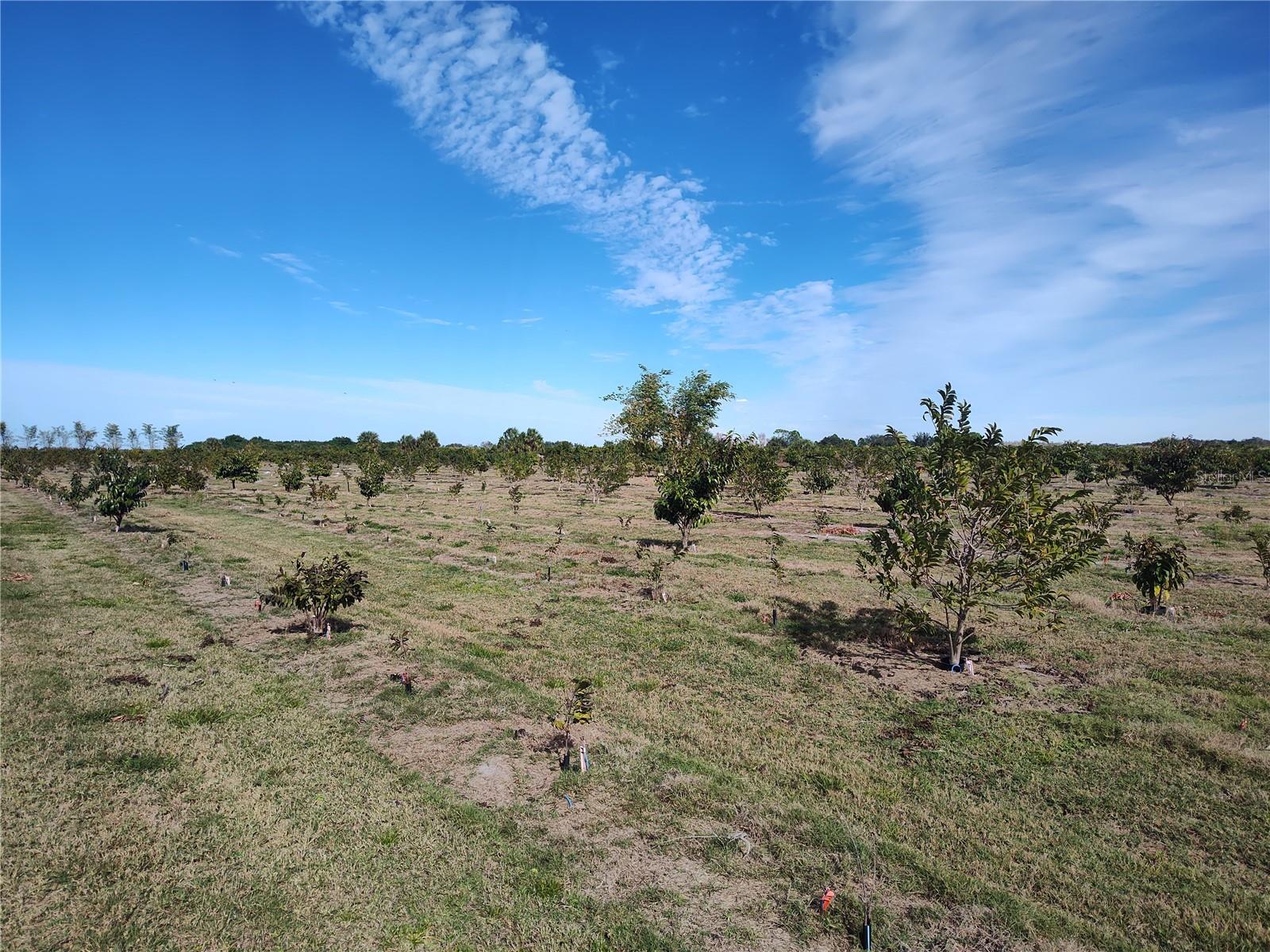 C7521768 Property Photo 17
