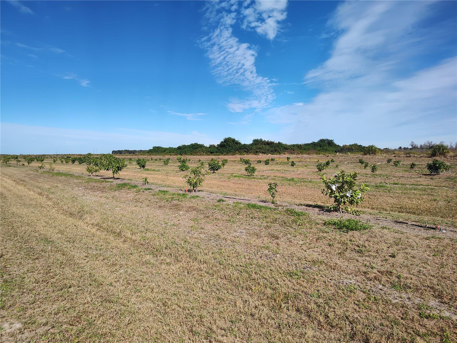 C7521768 Property Photo 18