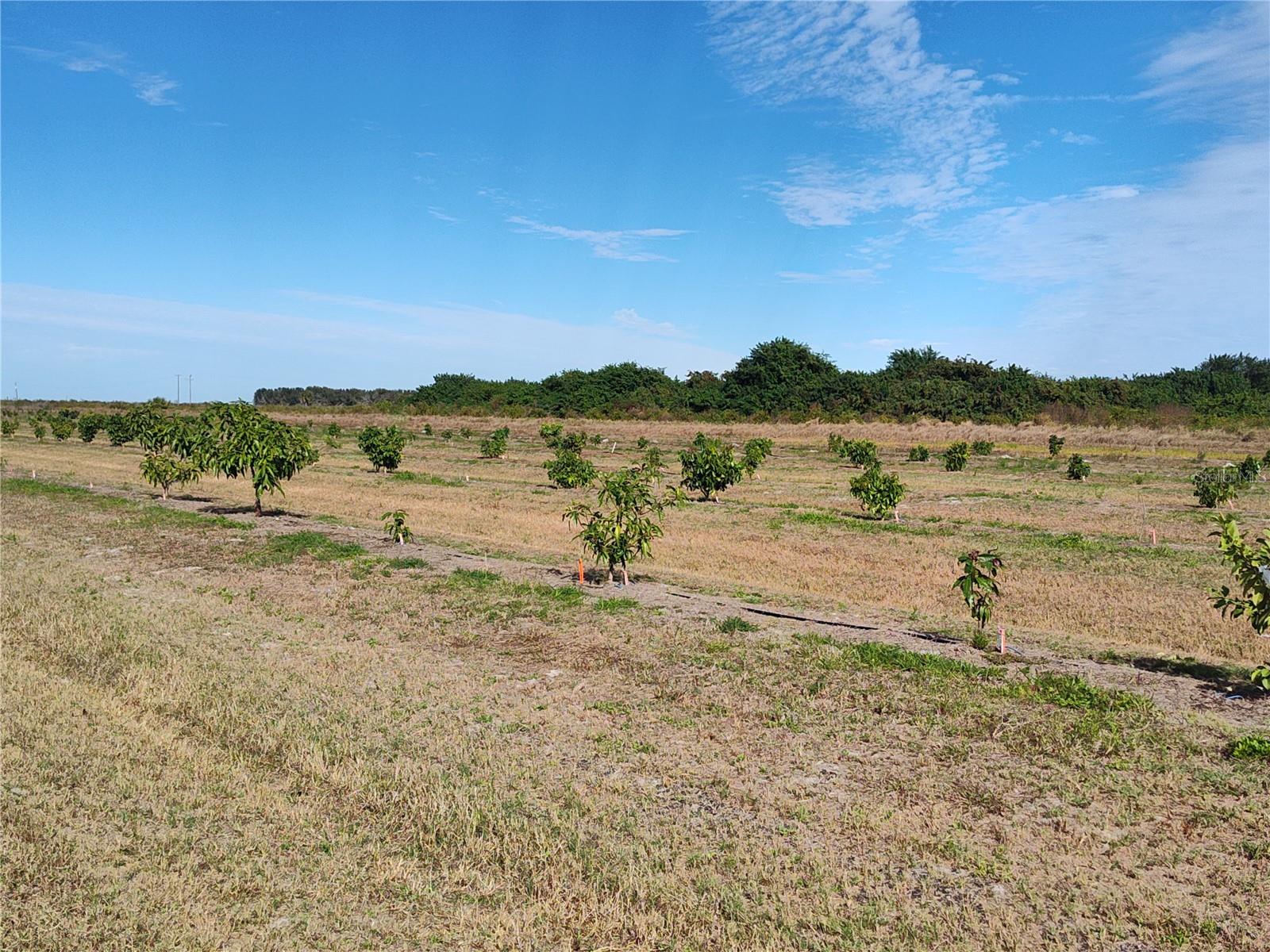 C7521768 Property Photo 20