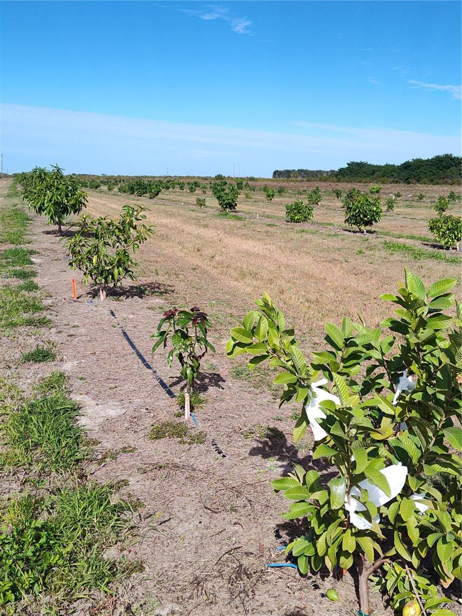 C7521768 Property Photo 21
