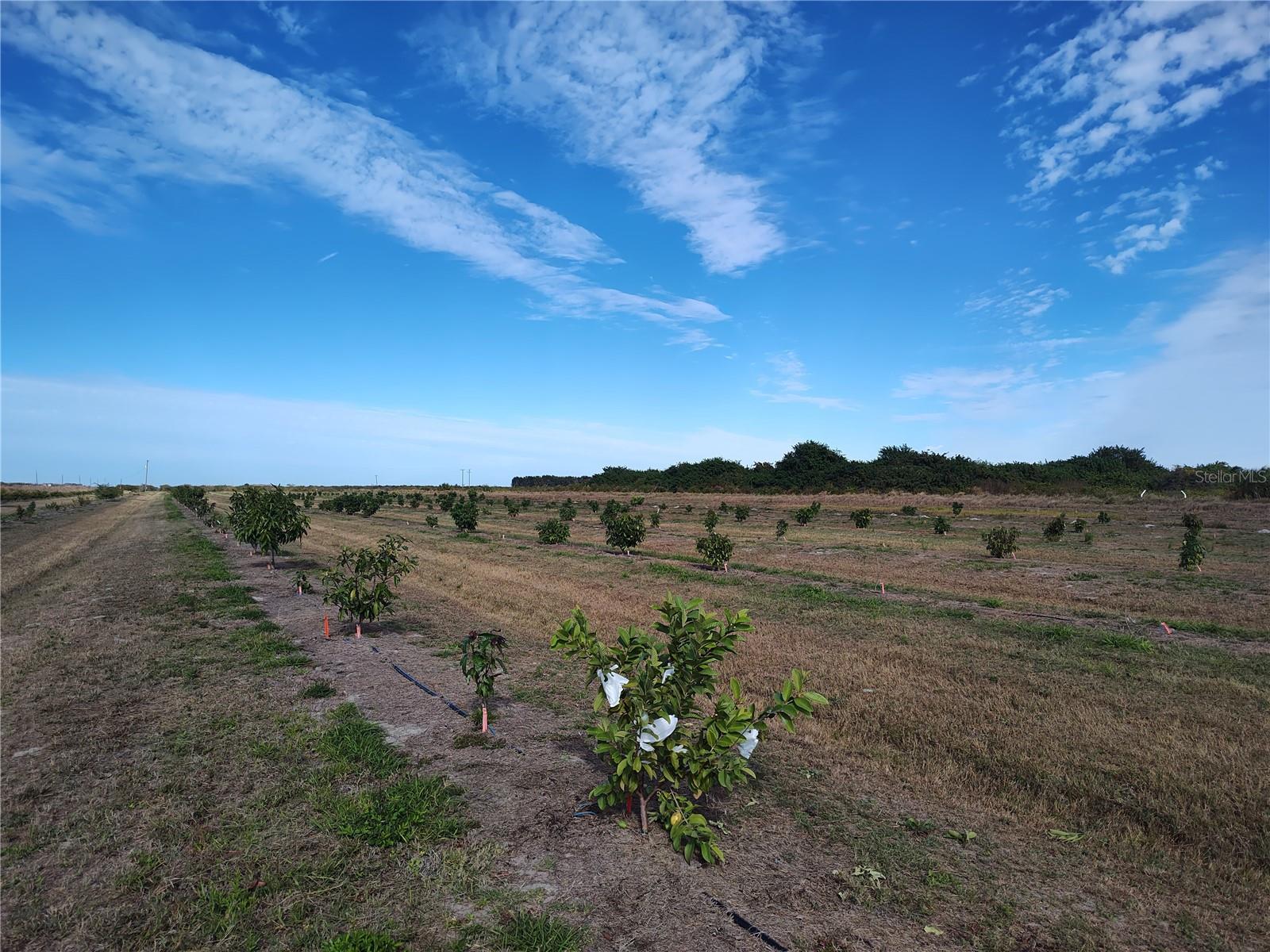 C7521768 Property Photo 25