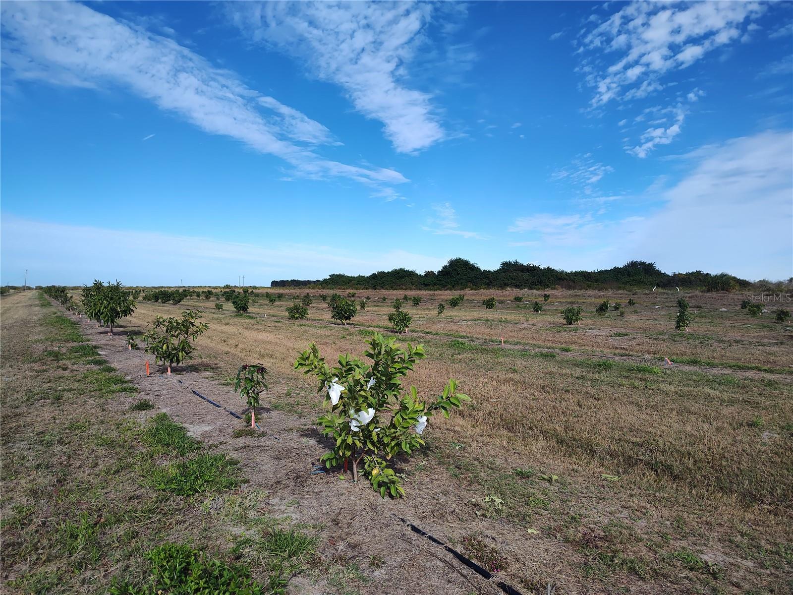 C7521768 Property Photo 26