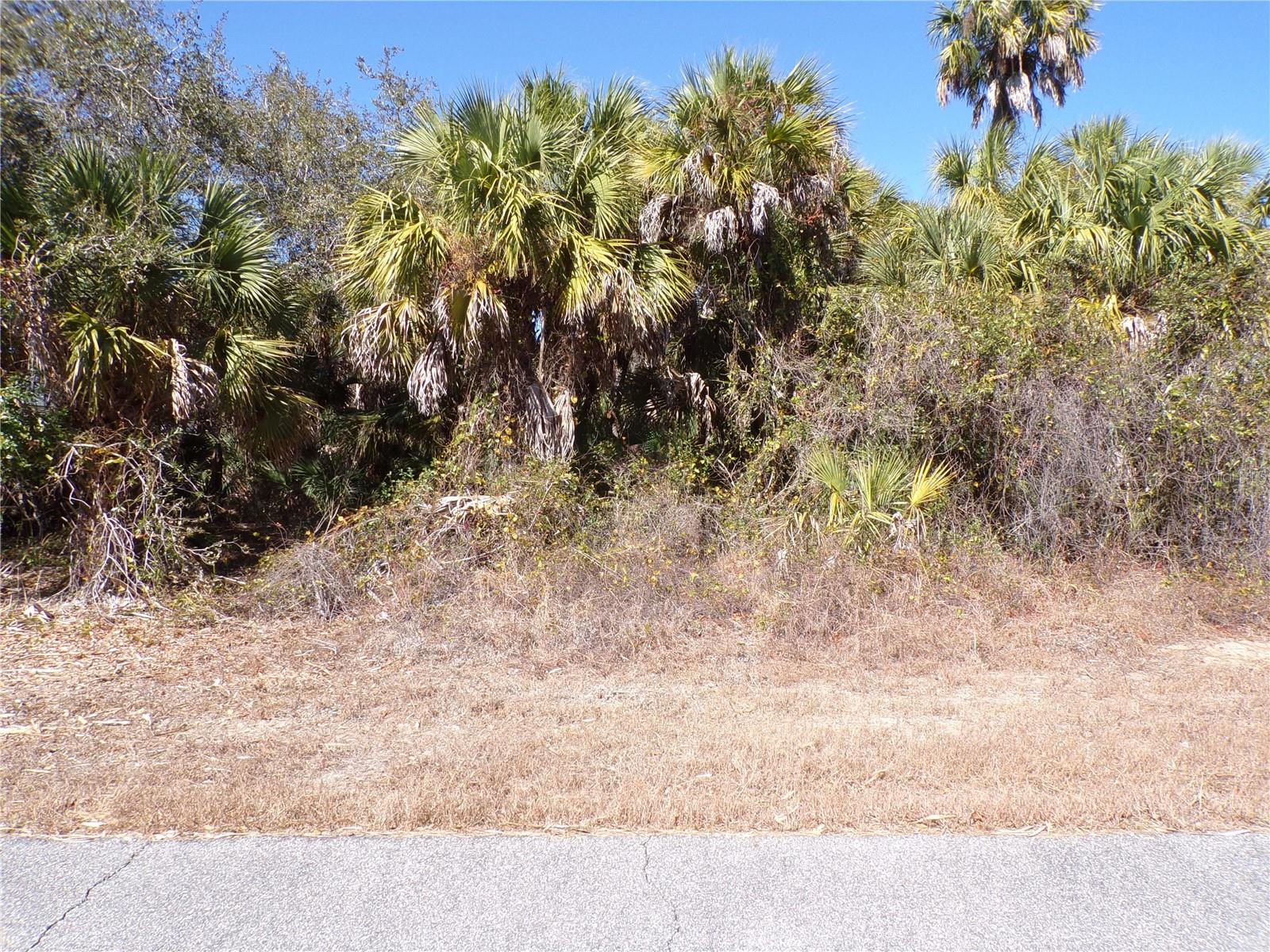 LAS ALMANOS AVE Property Photo 1