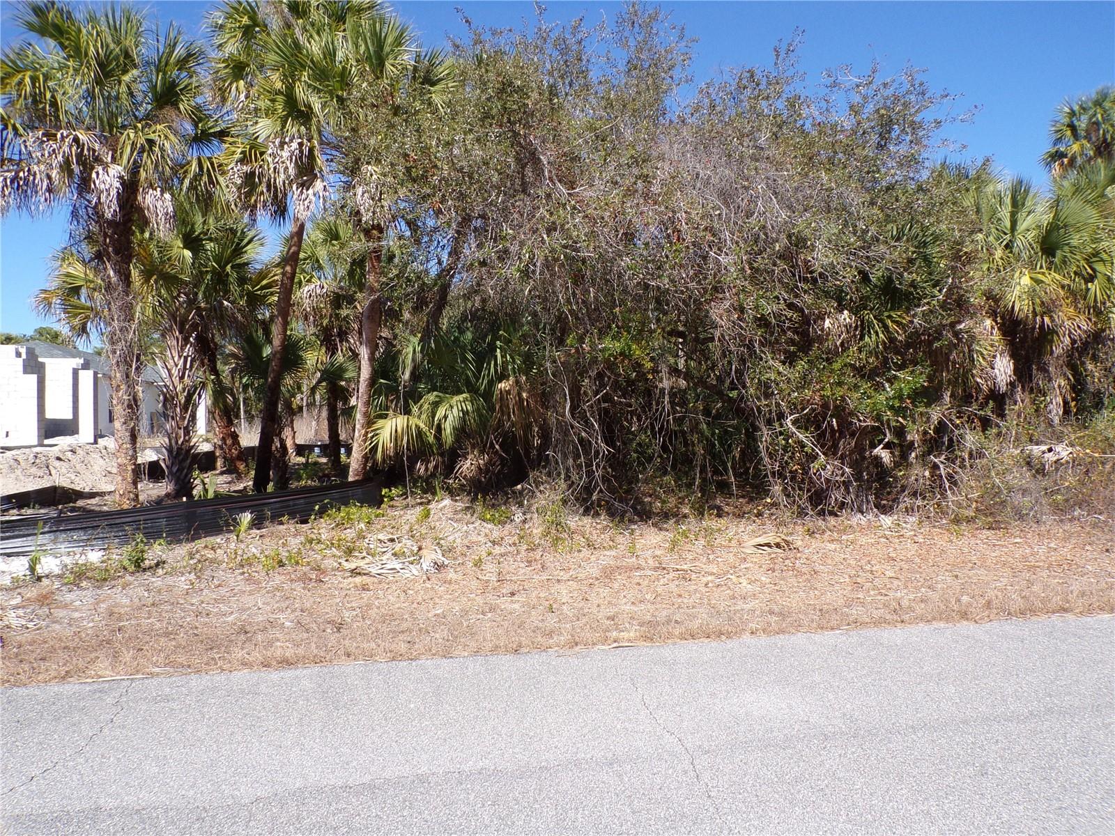 Las Almanos Ave Property Photo 2