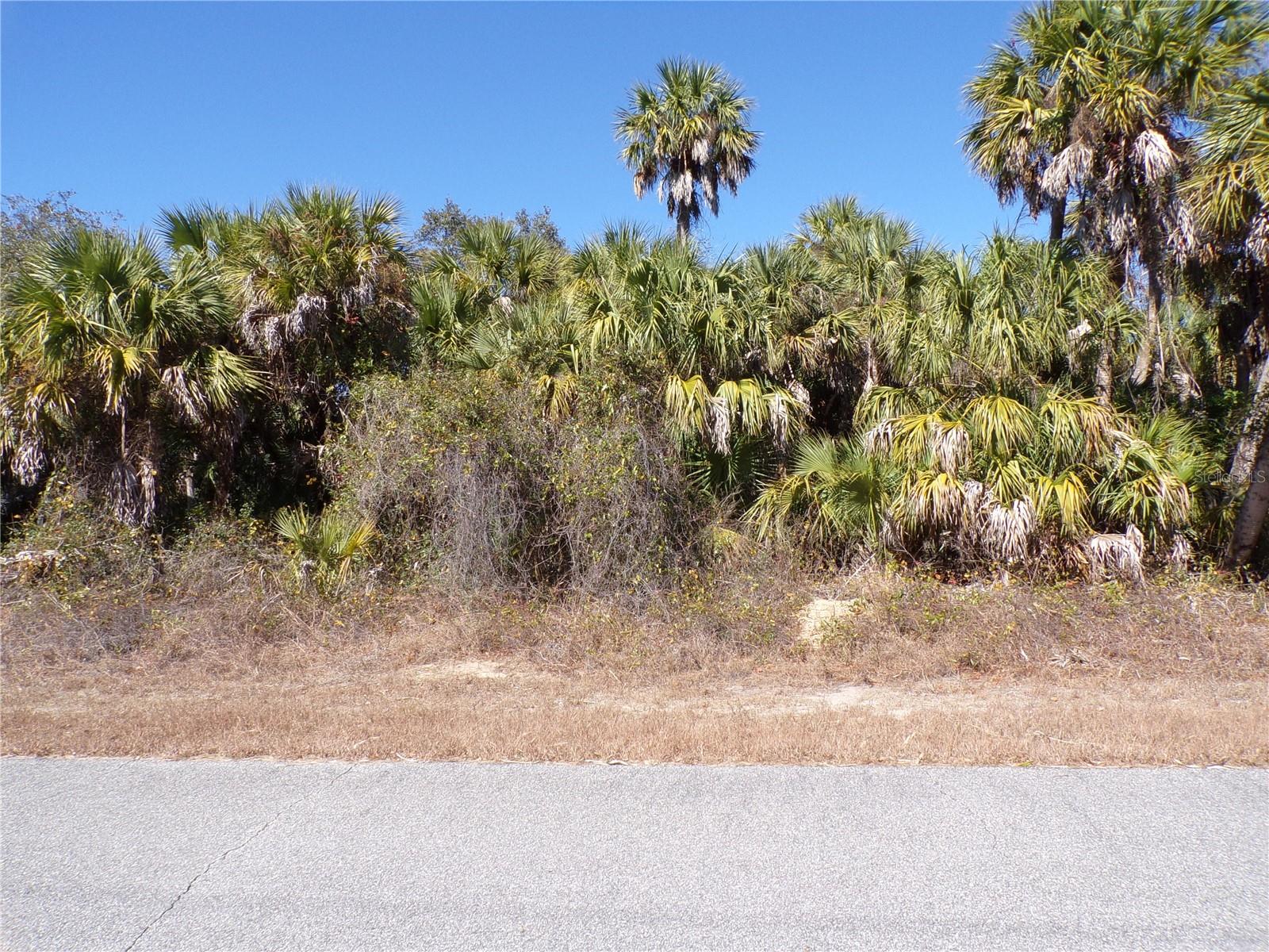 Las Almanos Ave Property Photo 5