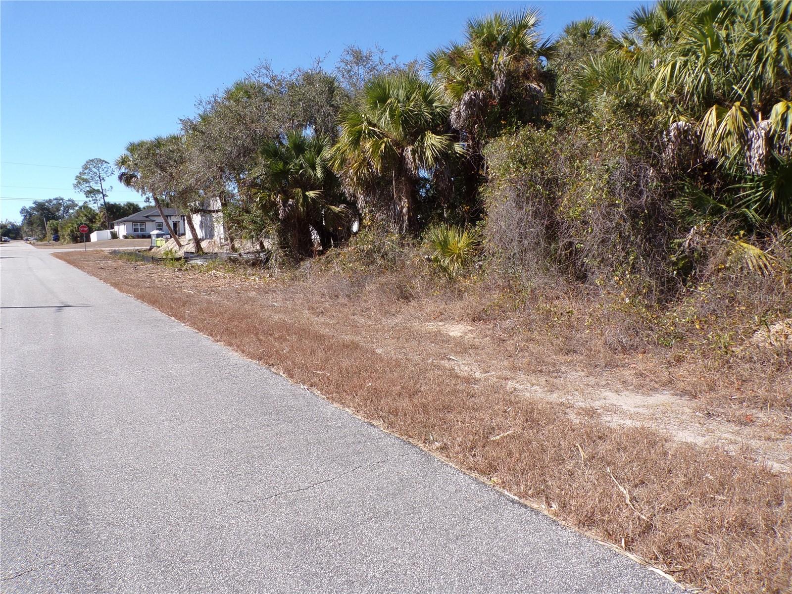 Las Almanos Ave Property Photo 7