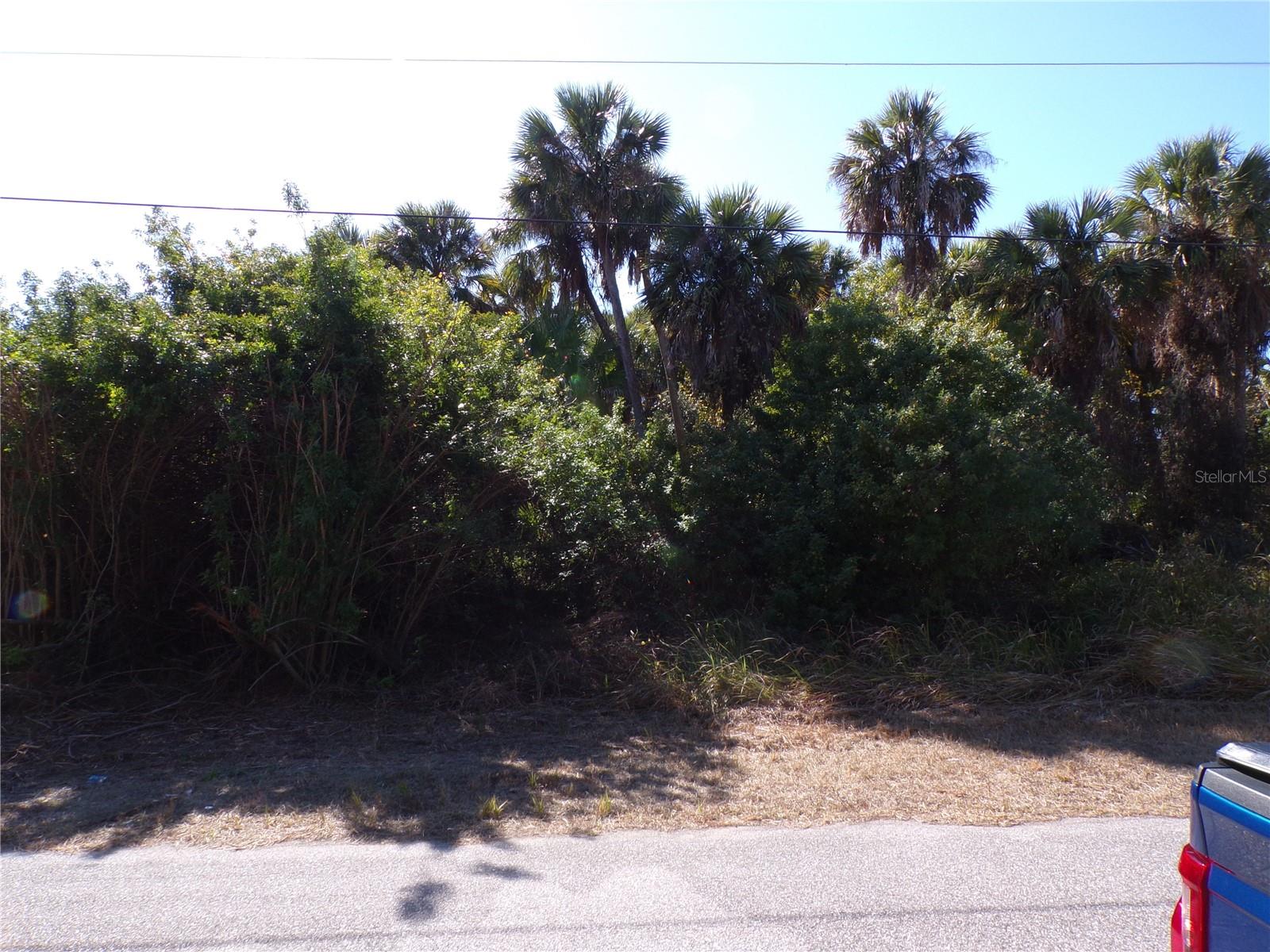 ALBATROS LN Property Photo 1