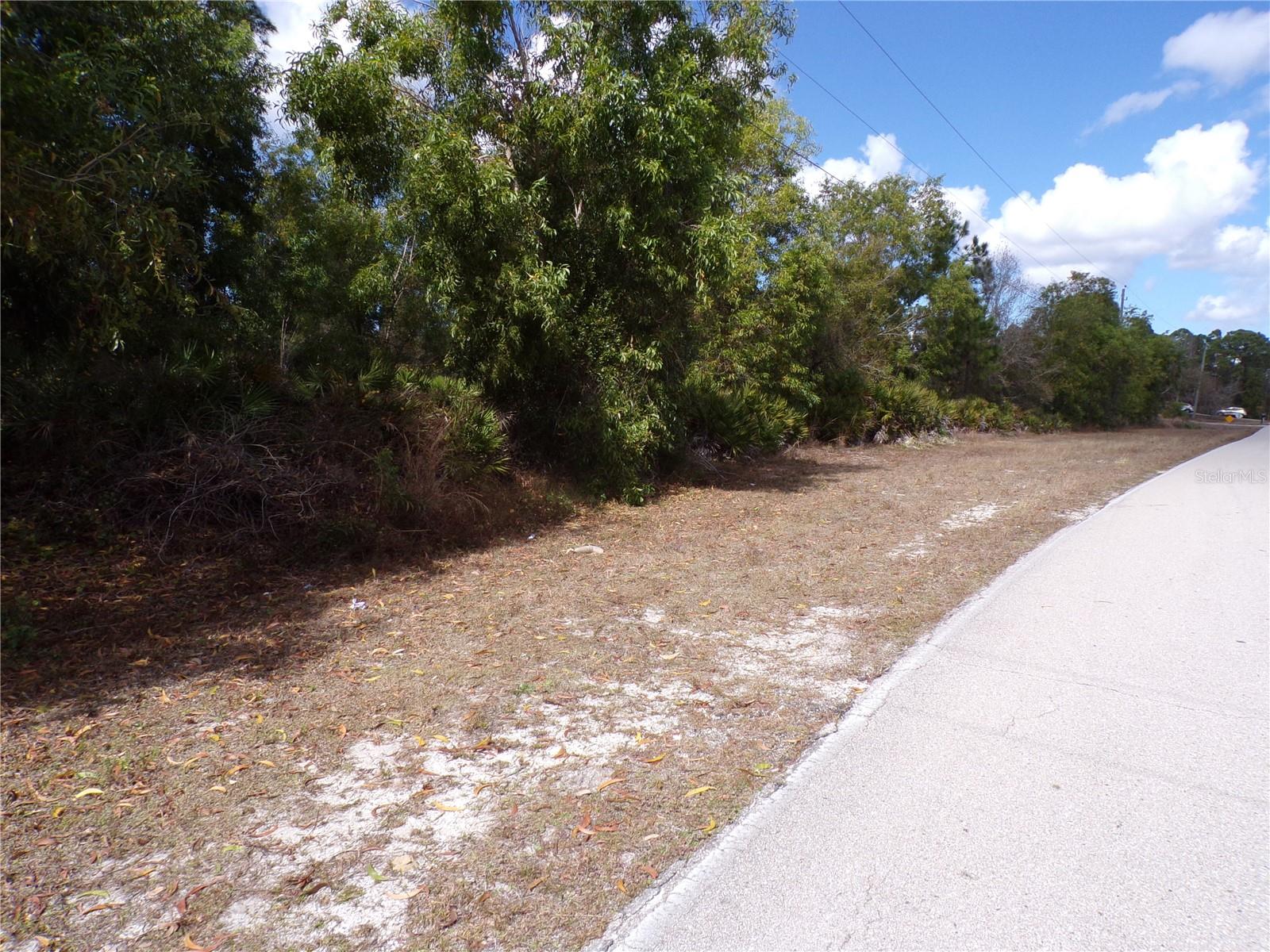 12253 Green Gulf Blvd Property Photo 6