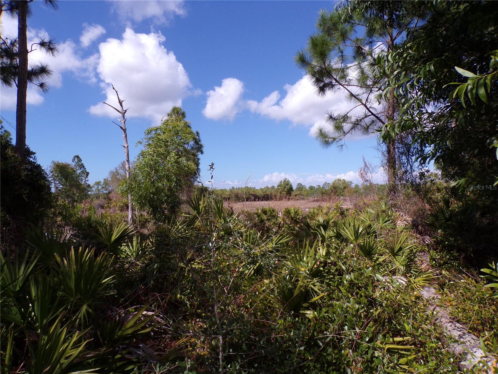 12253 Green Gulf Blvd Property Photo 11
