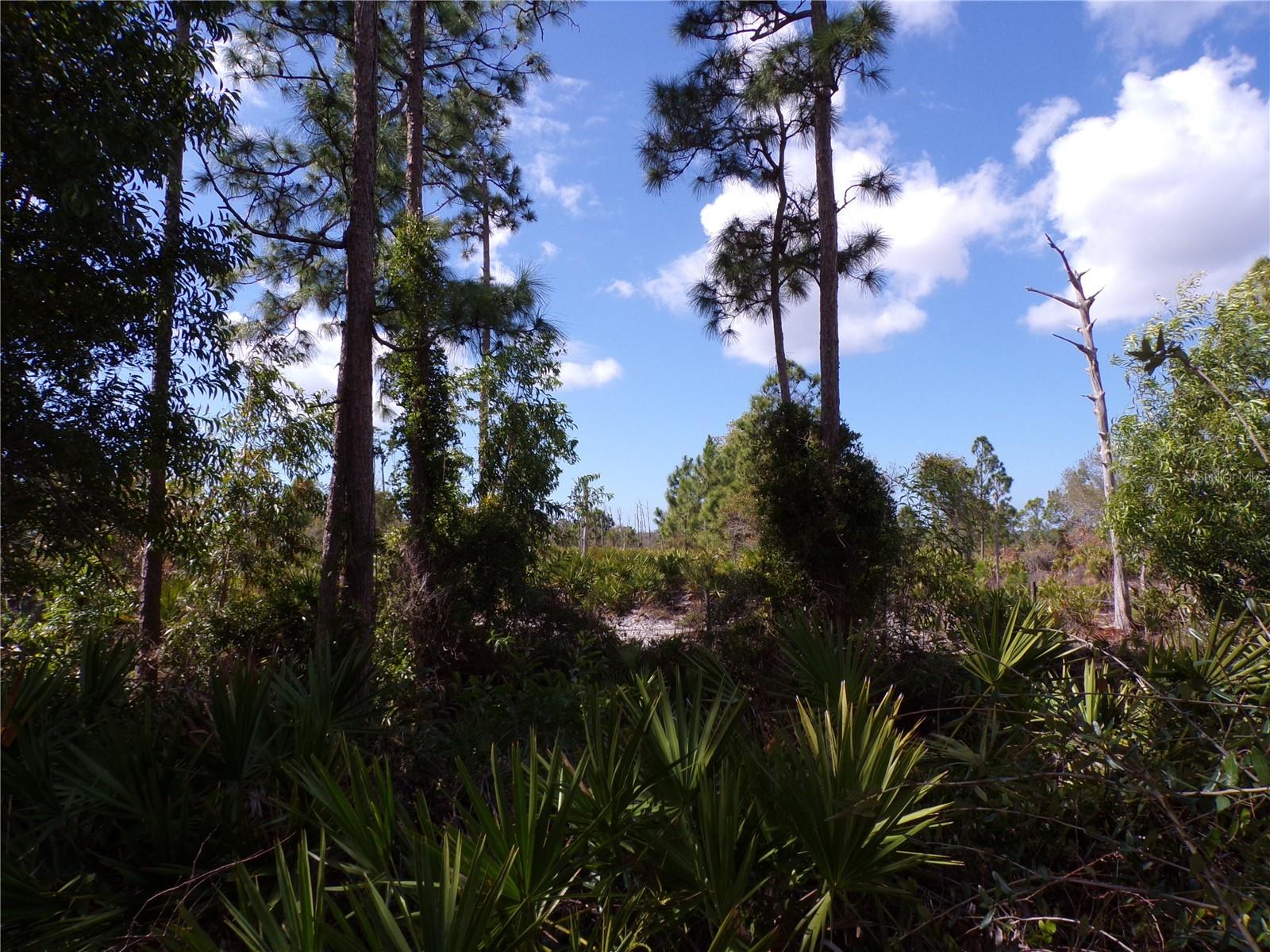 12253 Green Gulf Blvd Property Photo 14