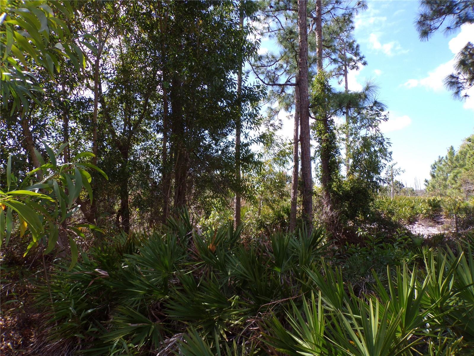 12253 Green Gulf Blvd Property Photo 15