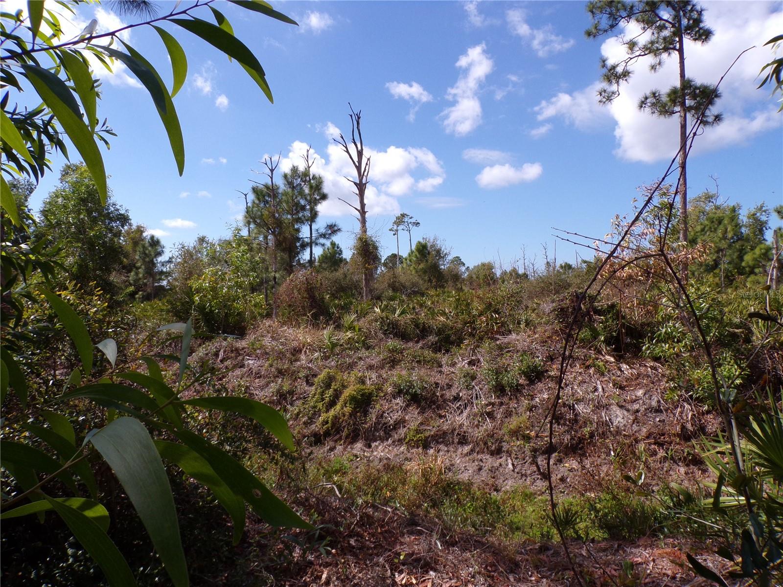 12253 Green Gulf Blvd Property Photo 16