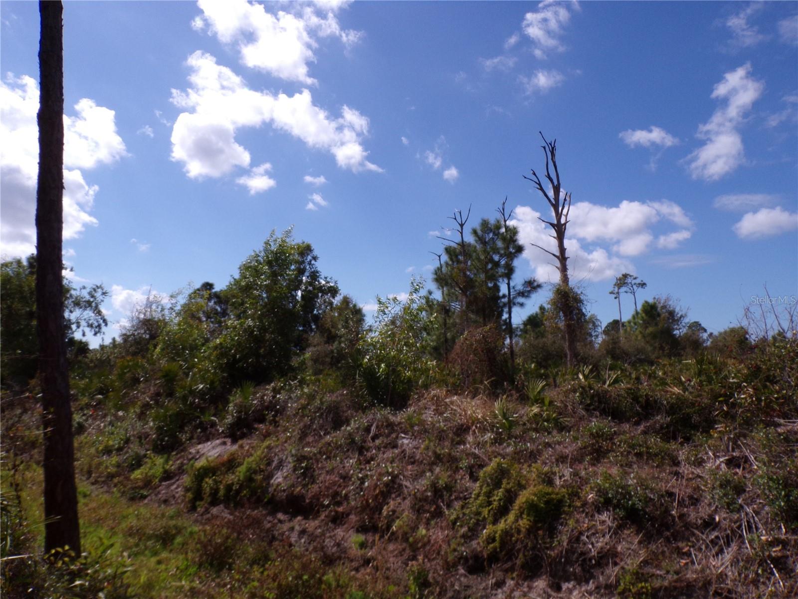 12253 Green Gulf Blvd Property Photo 17