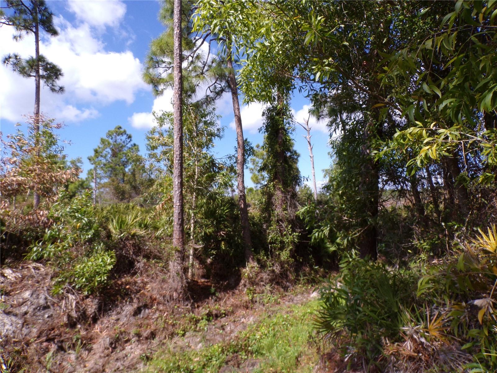 12253 Green Gulf Blvd Property Photo 18