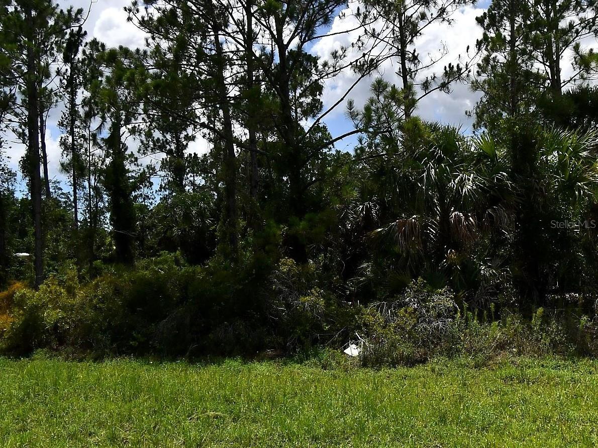 Ponce De Leon Blvd Property Photo 3