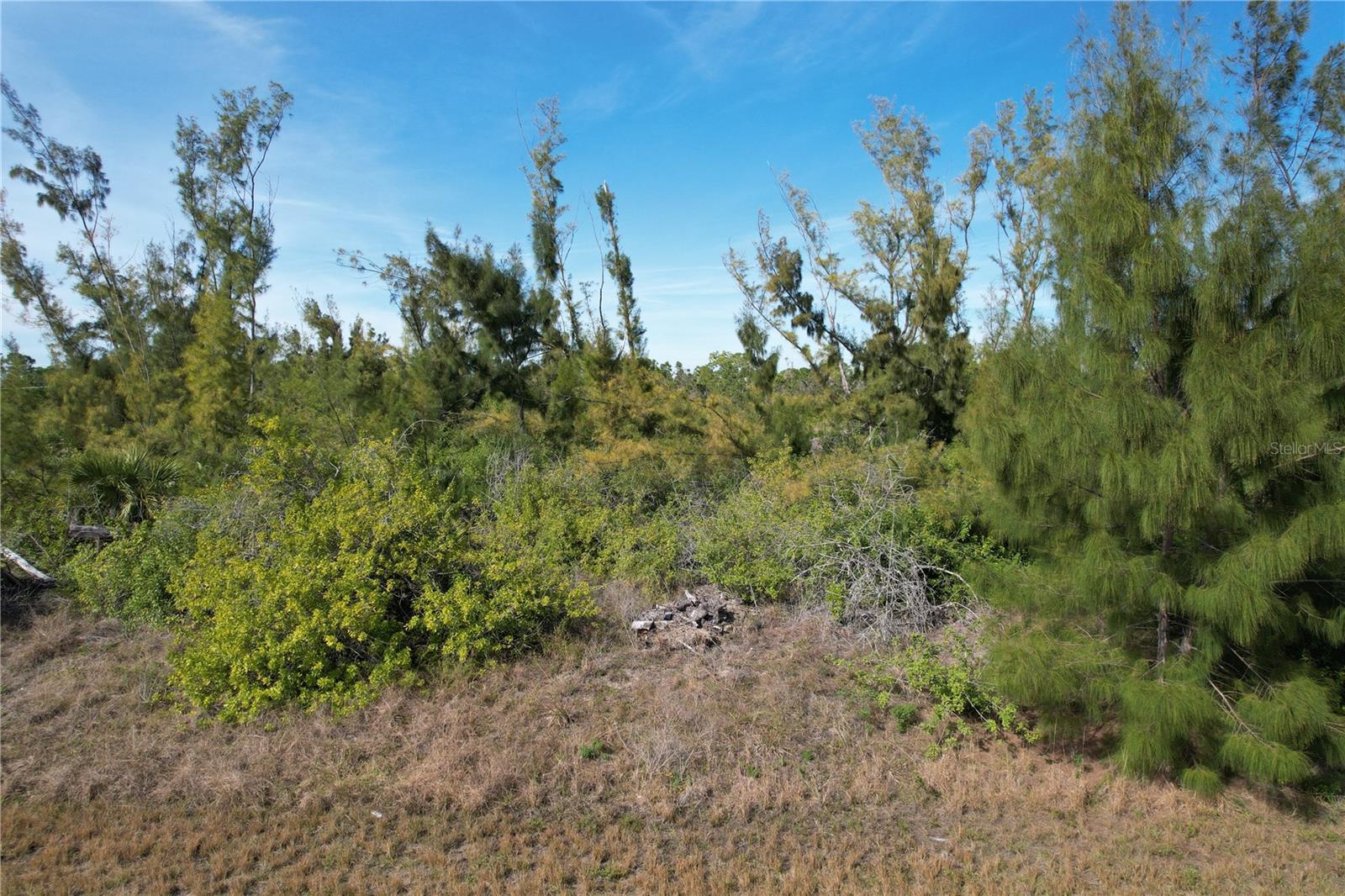 10565 Abello Rd Property Photo 2