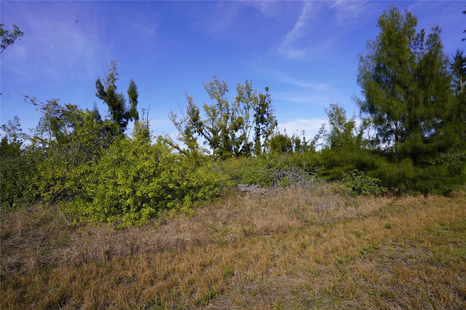 10565 Abello Rd Property Photo 3
