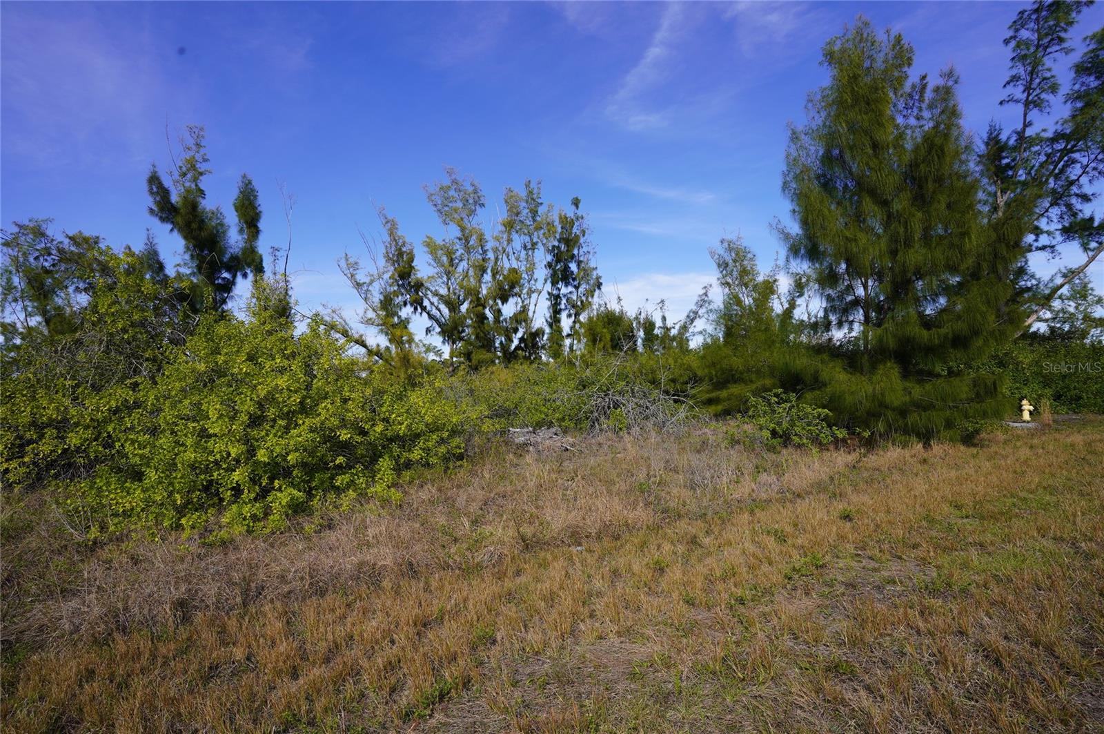 10565 Abello Rd Property Photo 4