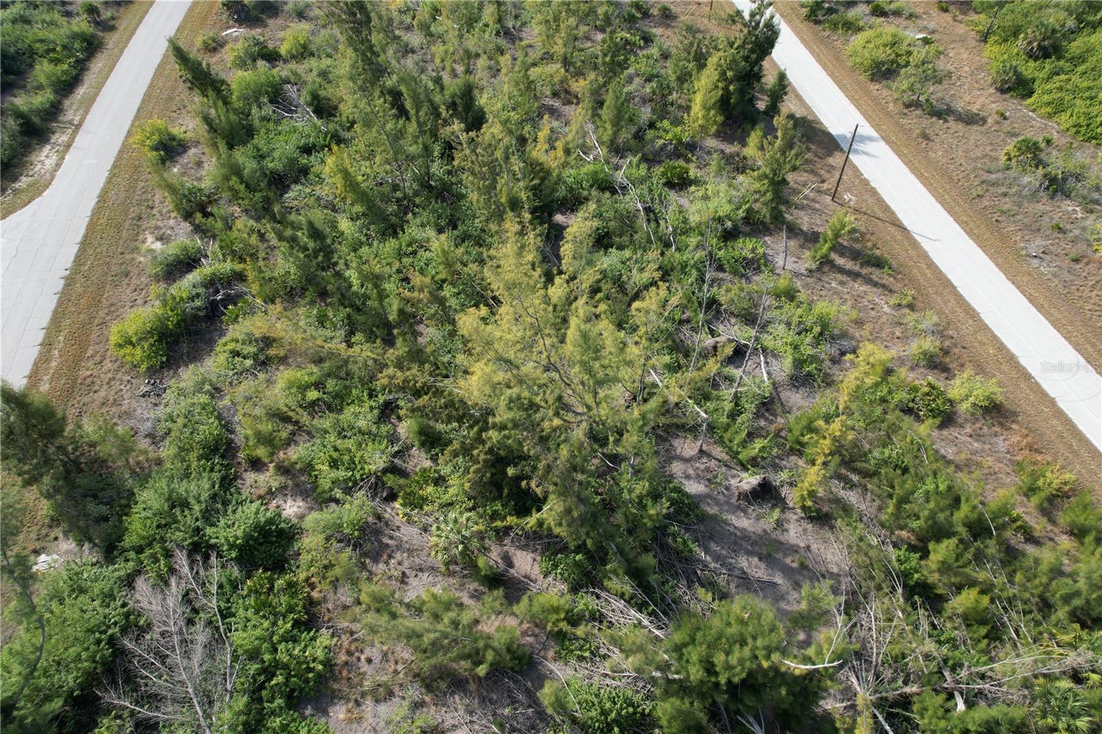 10565 Abello Rd Property Photo 10