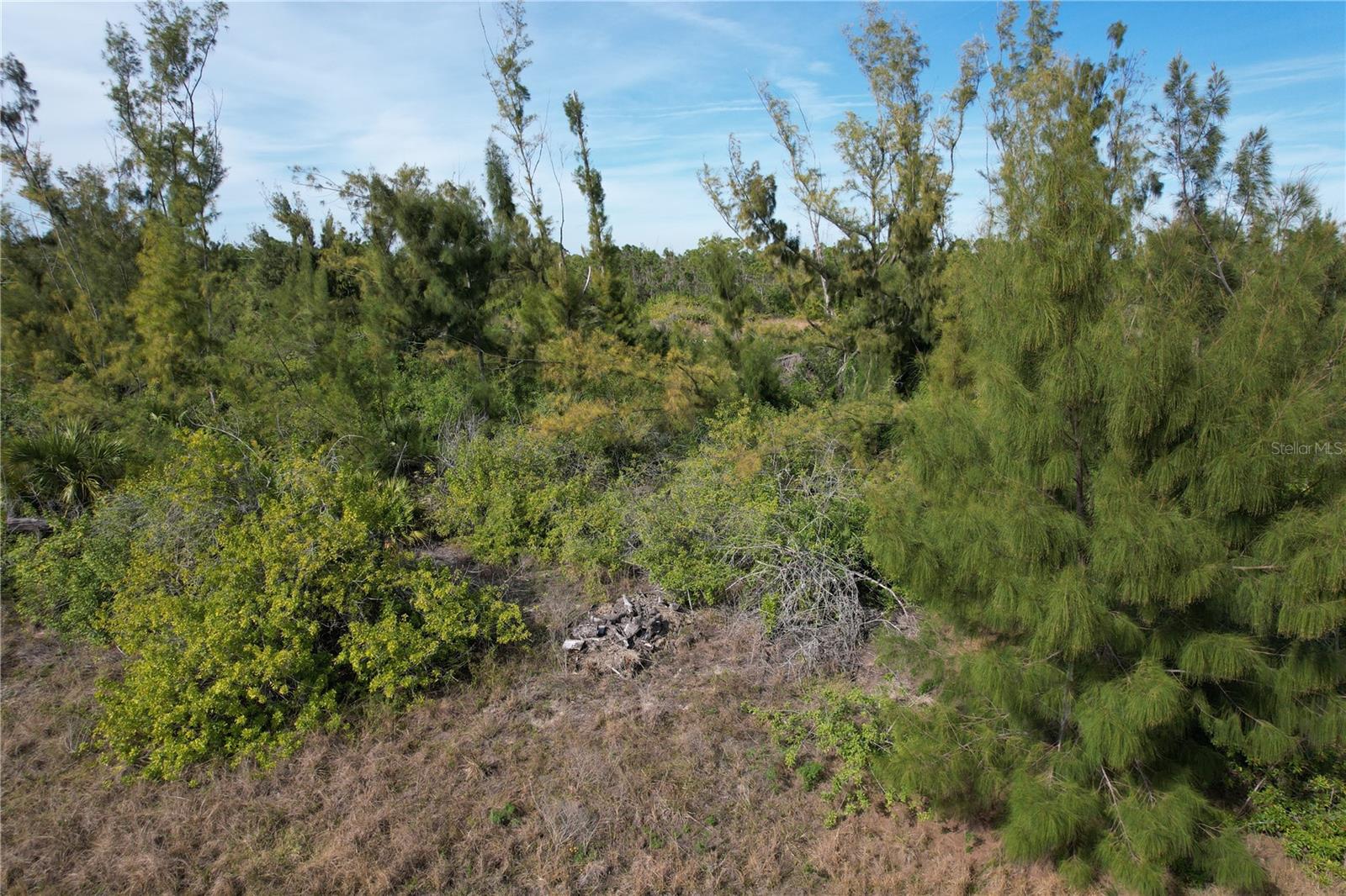 10565 Abello Rd Property Photo 13
