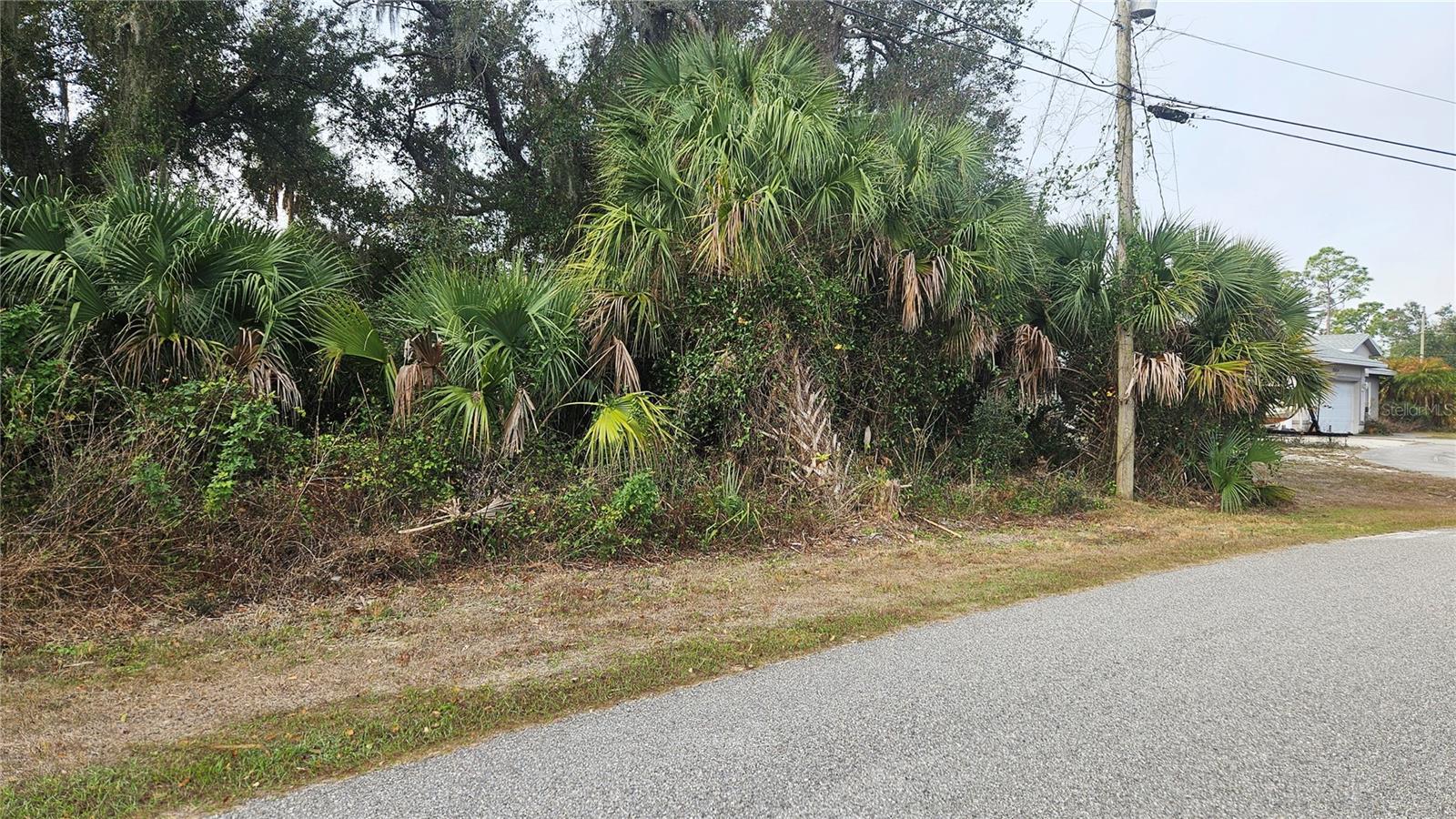 Nadasky Lot 47 Ave Property Photo 3