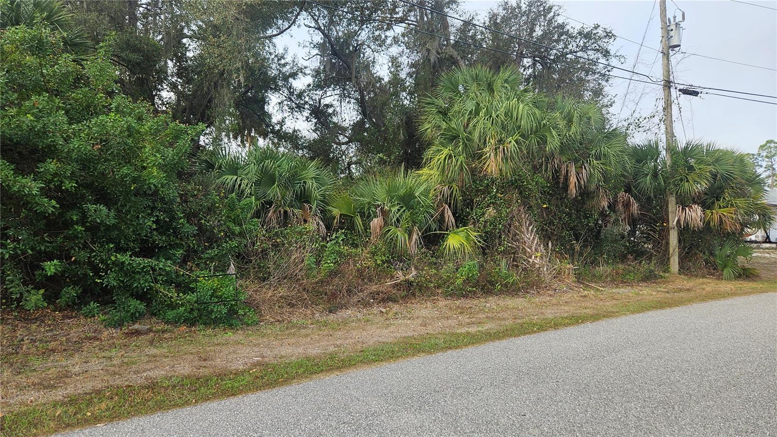 Nadasky Lot 47 Ave Property Photo 5