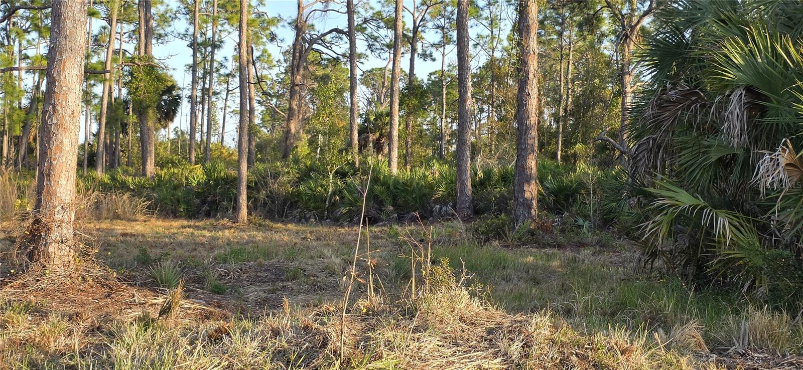 13262 Gorman Ave Property Photo 3