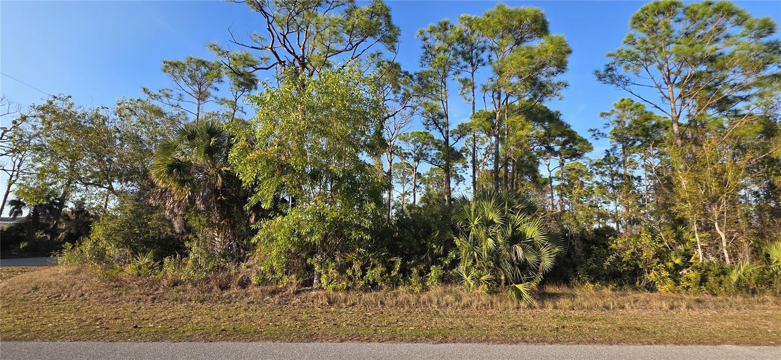 13262 Gorman Ave Property Photo 5