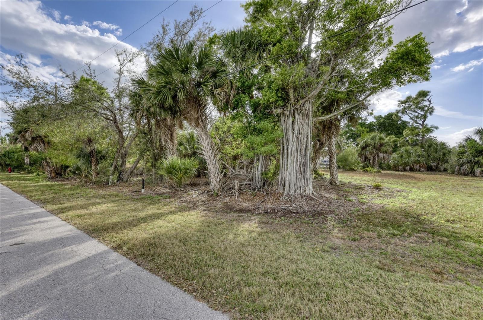3015 Banyan Way Property Photo 10