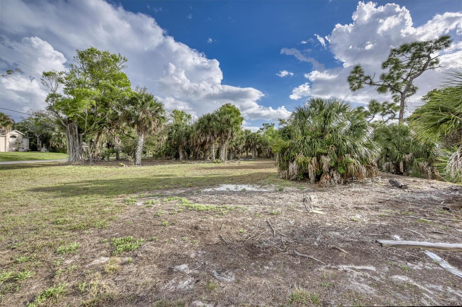 3015 Banyan Way Property Photo 11
