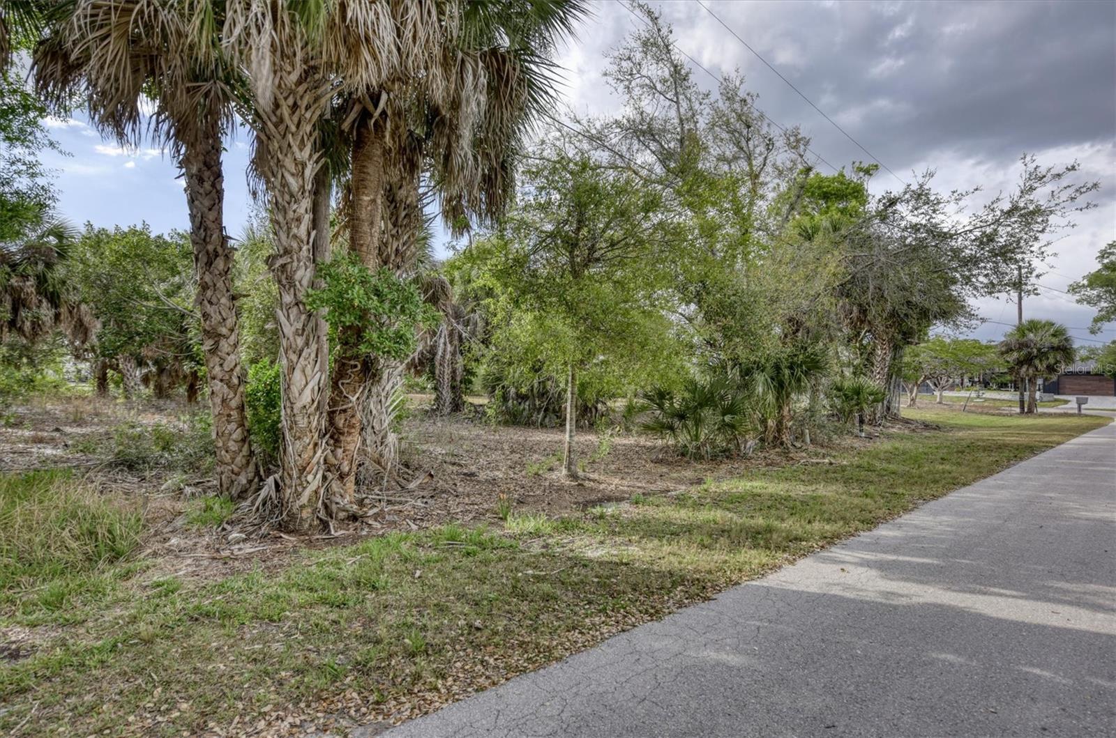 3015 Banyan Way Property Photo 16