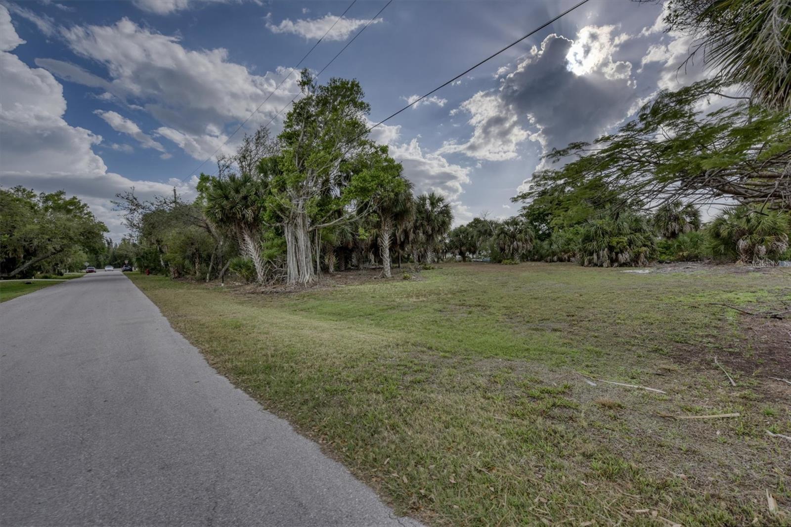3015 Banyan Way Property Photo 17