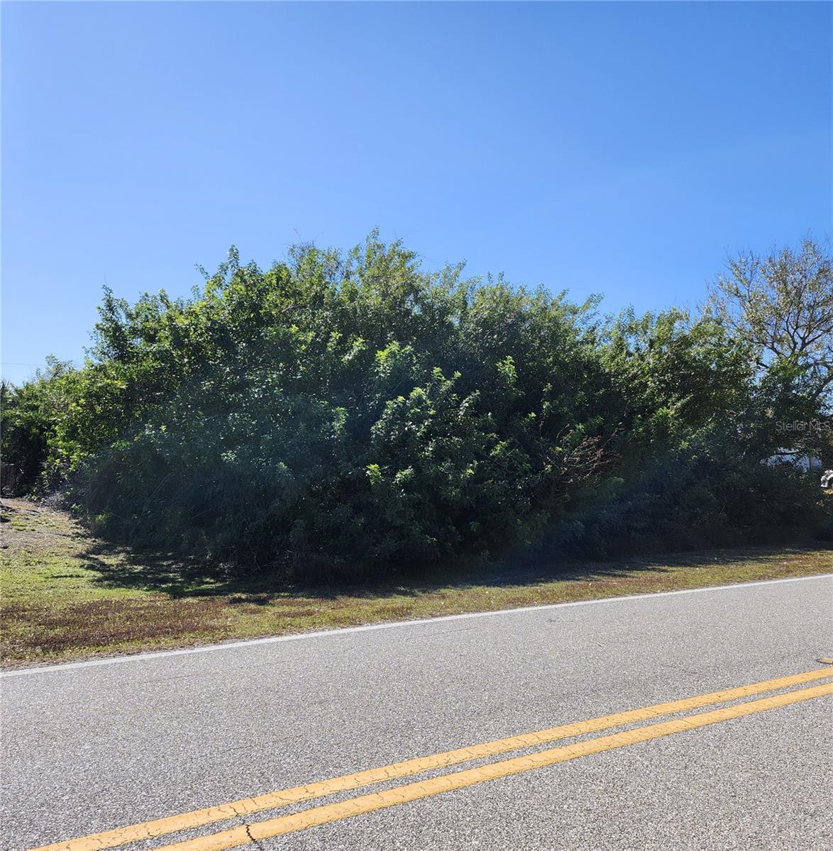 11325 Oceanspray Blvd Property Photo 3
