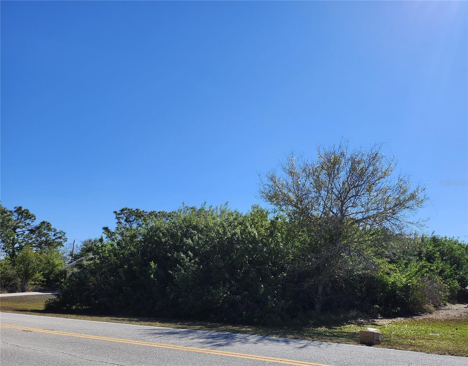 11325 Oceanspray Blvd Property Photo 5