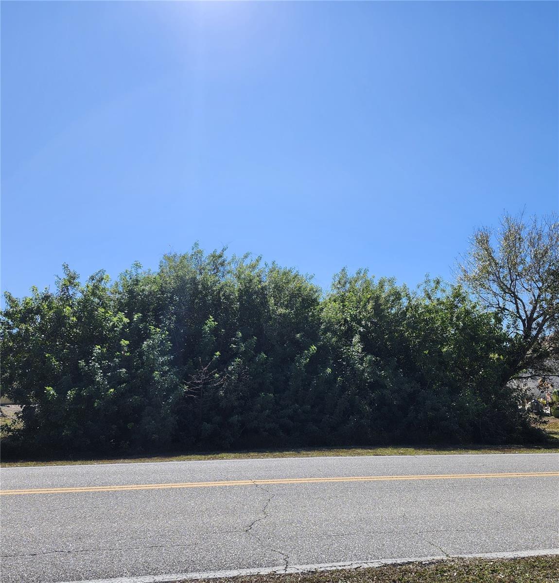 11325 Oceanspray Blvd Property Photo 6
