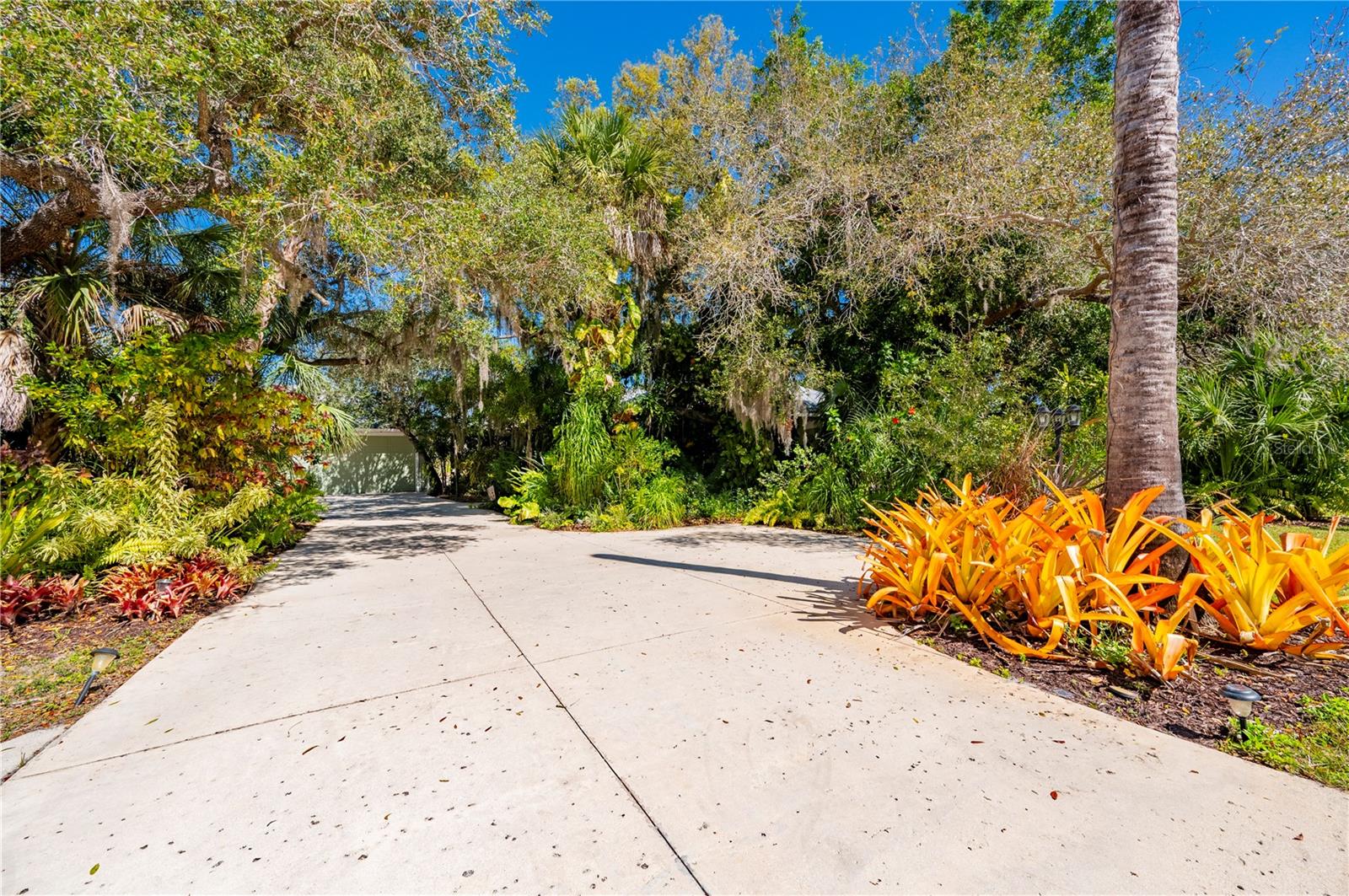 29505 Jones Loop Rd Property Photo 12