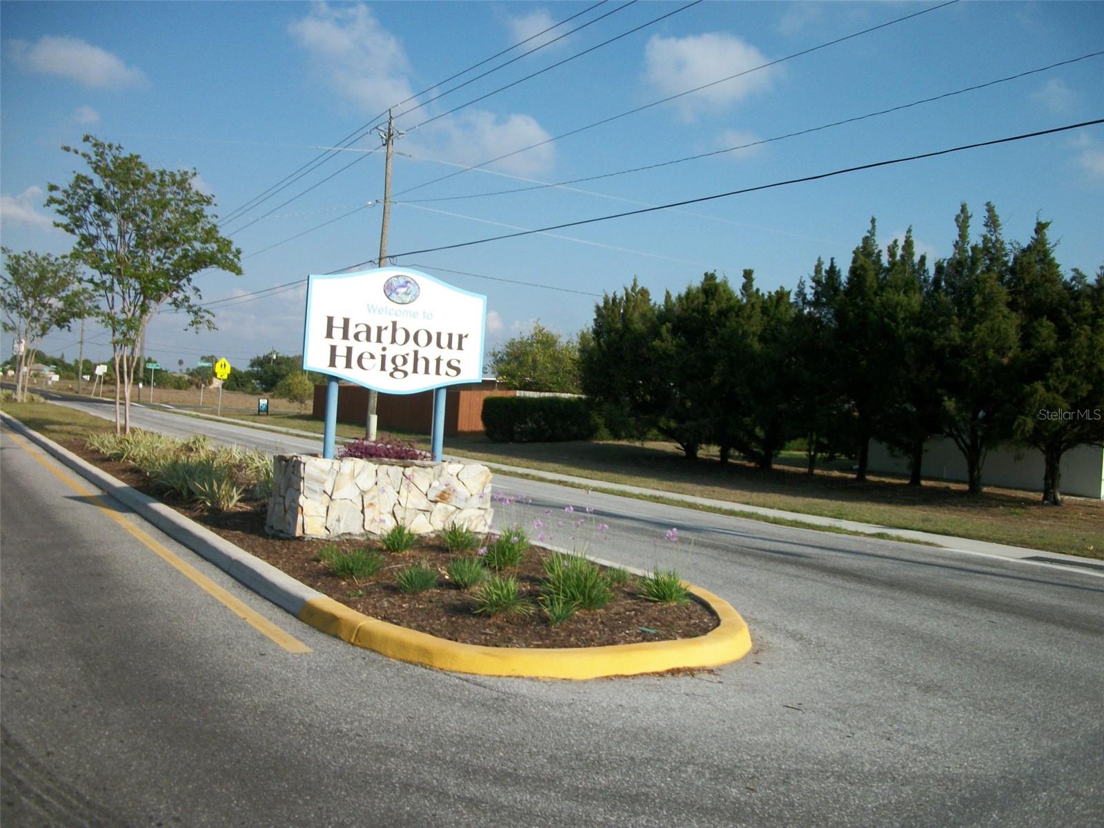 1228 Harbour Hibiscus Ct Property Photo 5