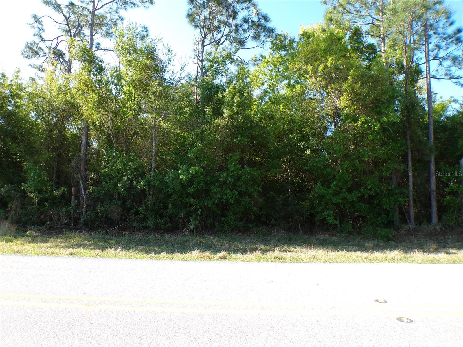 25161 Aysen Dr Property Photo 1