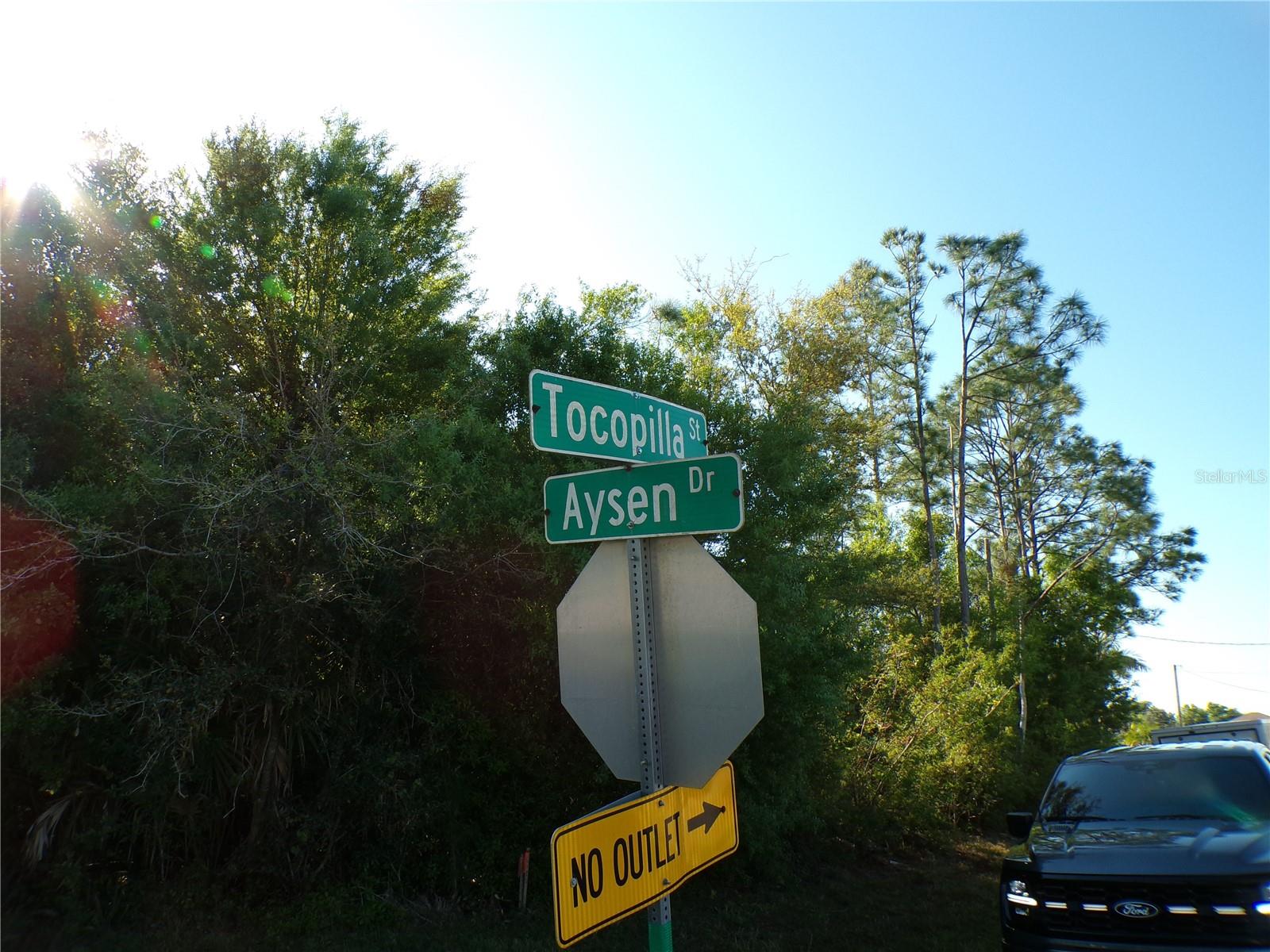 25161 Aysen Dr Property Photo 11