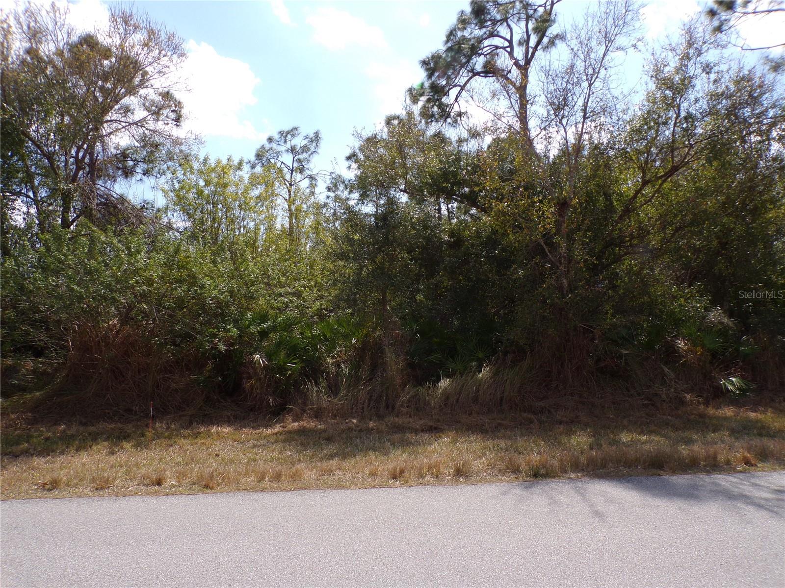 25161 Aysen Dr Property Photo 15
