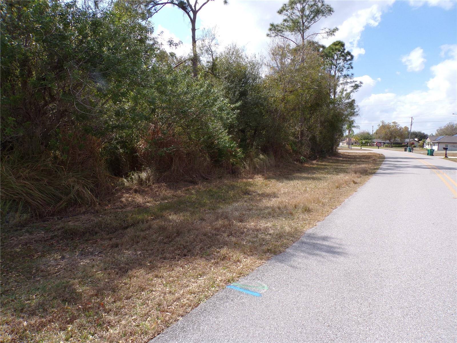 25161 Aysen Dr Property Photo 18