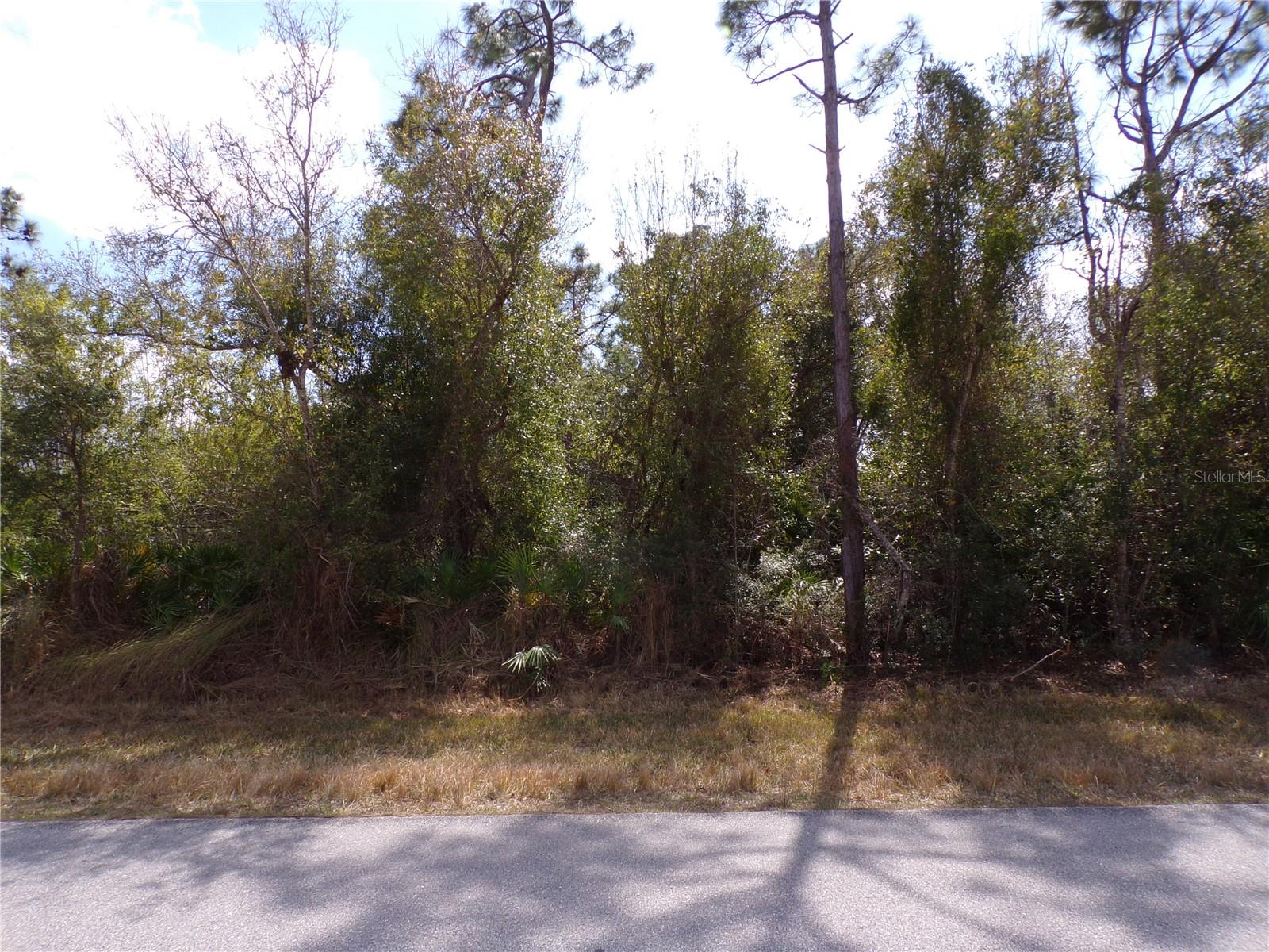 25161 Aysen Dr Property Photo 19