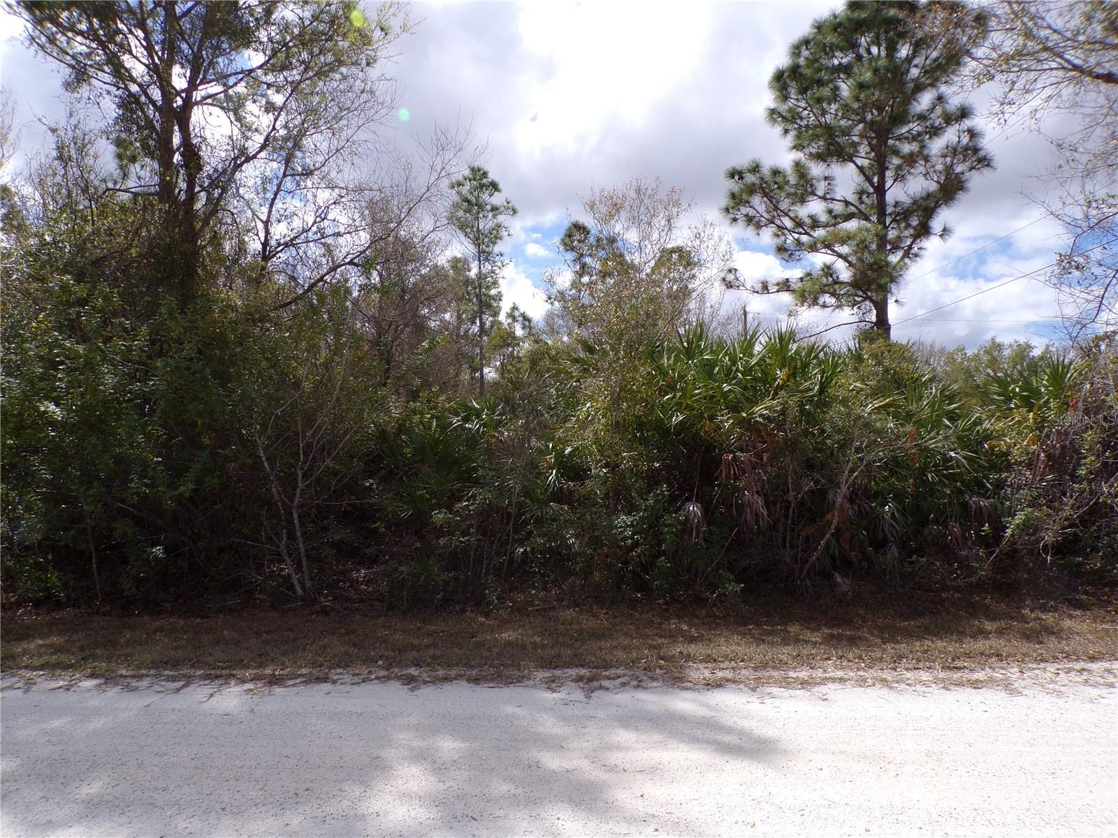 27263 Hacienda Dr Property Photo 10