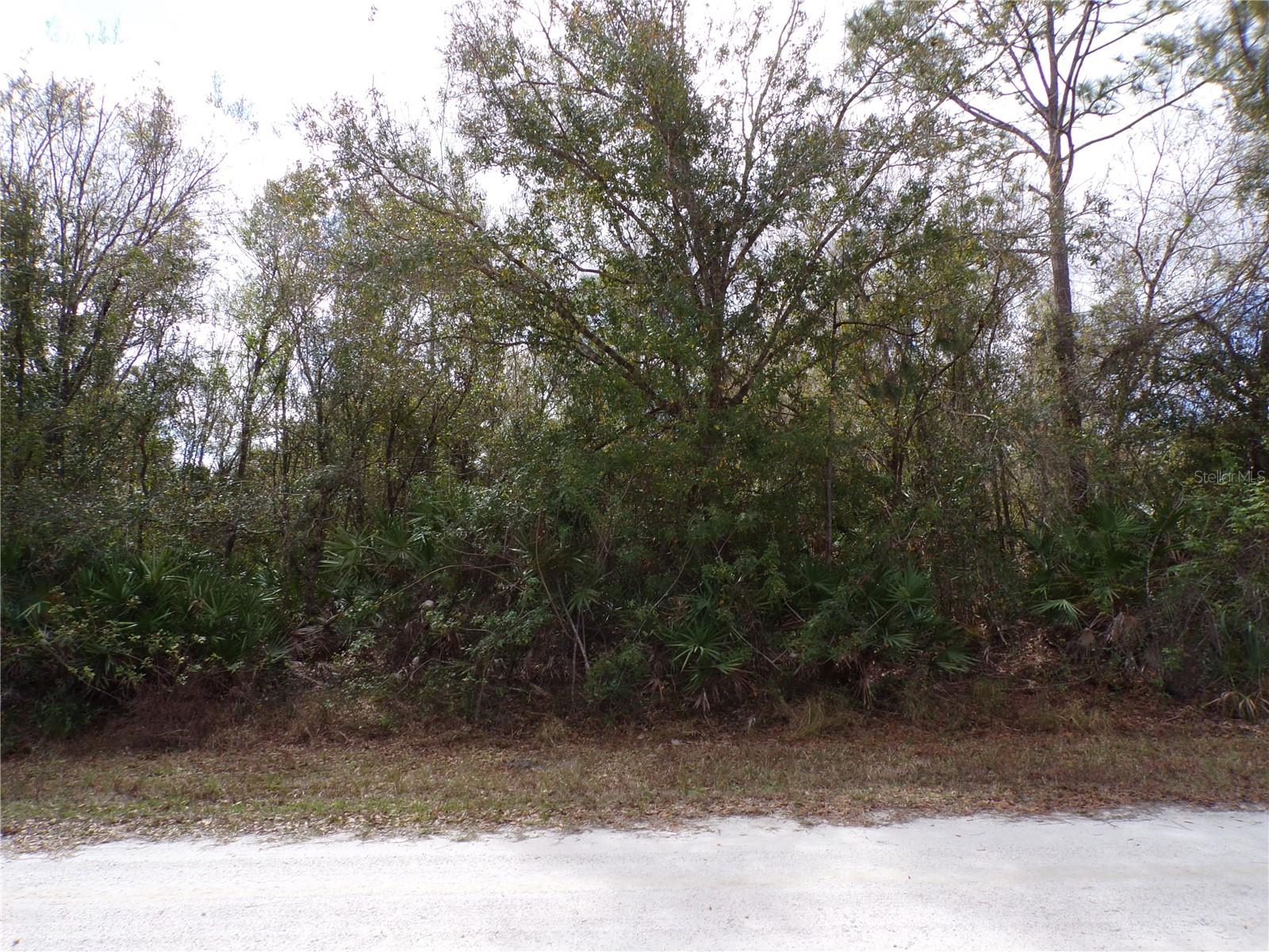 27263 Hacienda Dr Property Photo 11