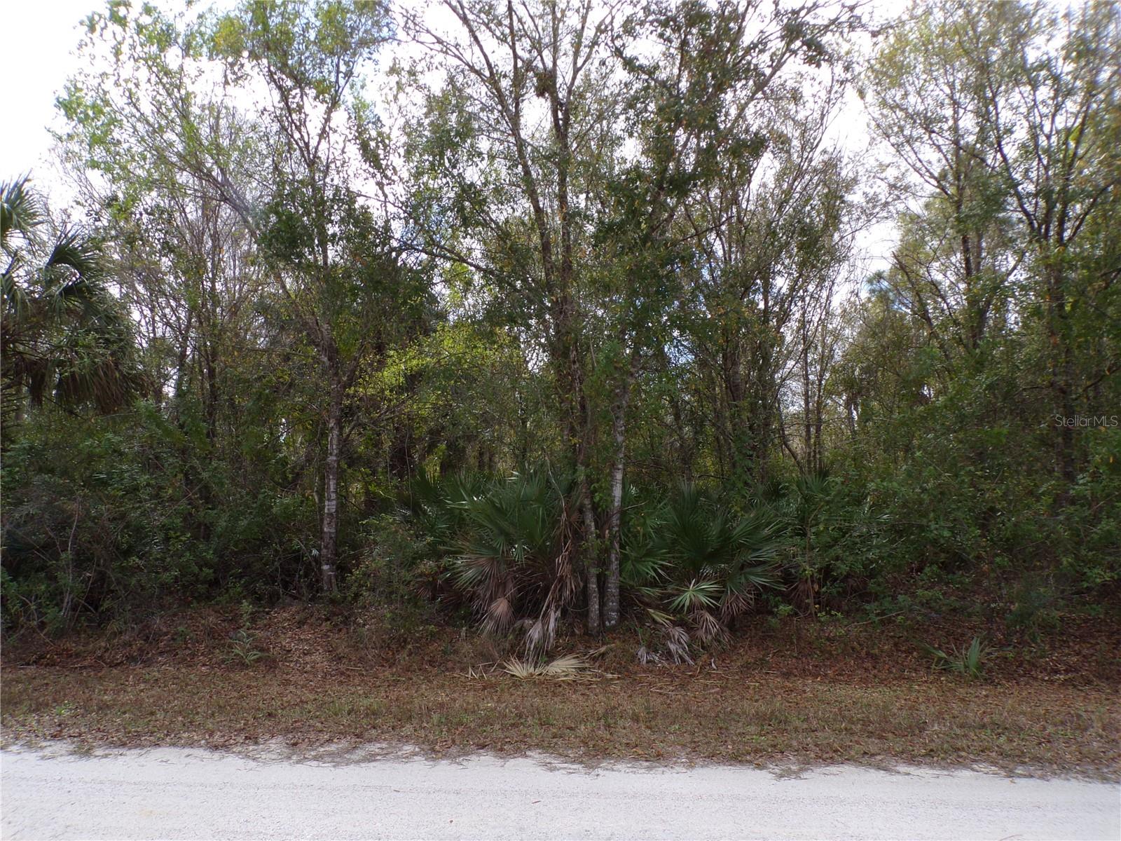 27263 Hacienda Dr Property Photo 14