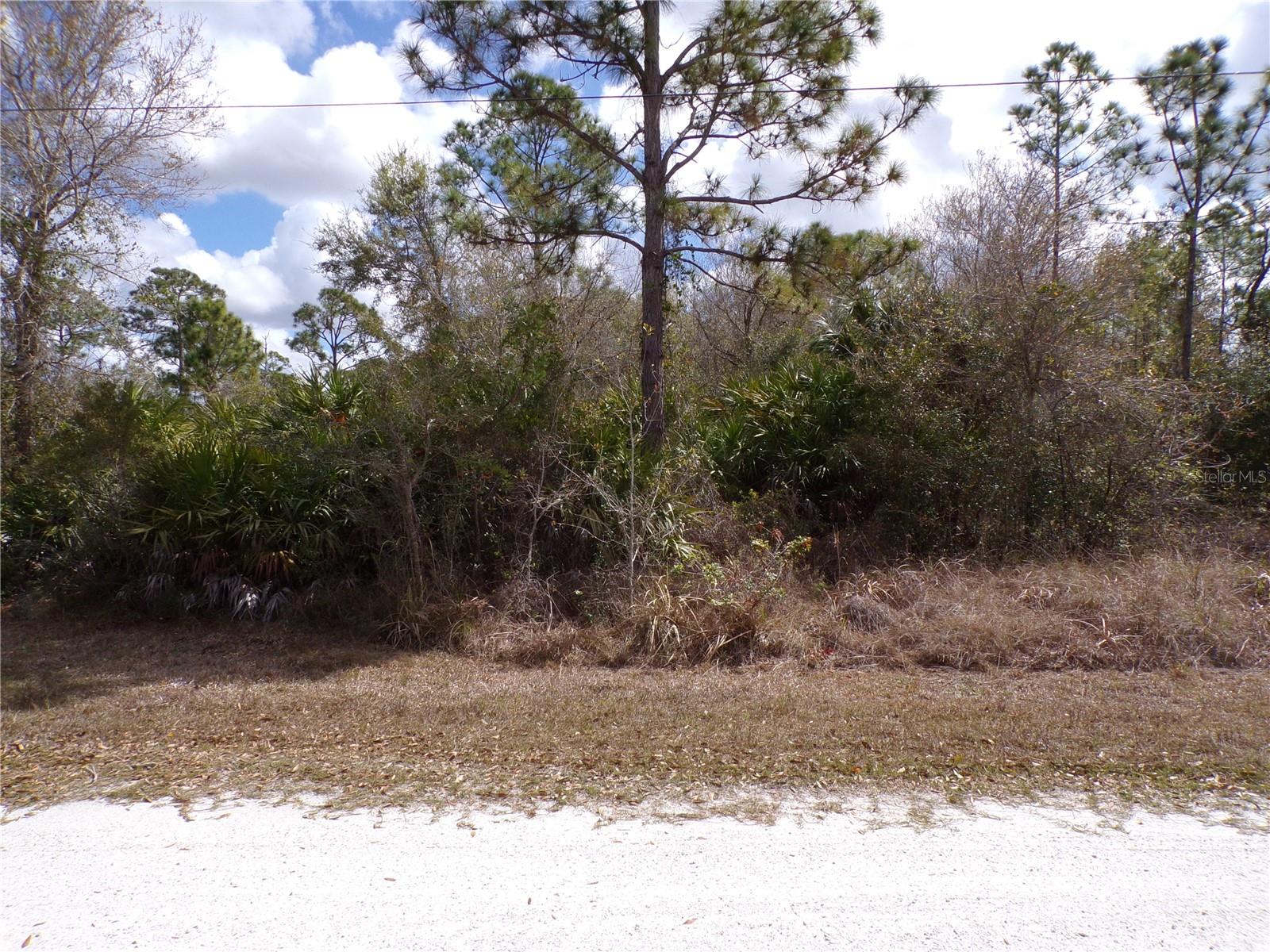 27269 Hacienda Dr Property Photo 5