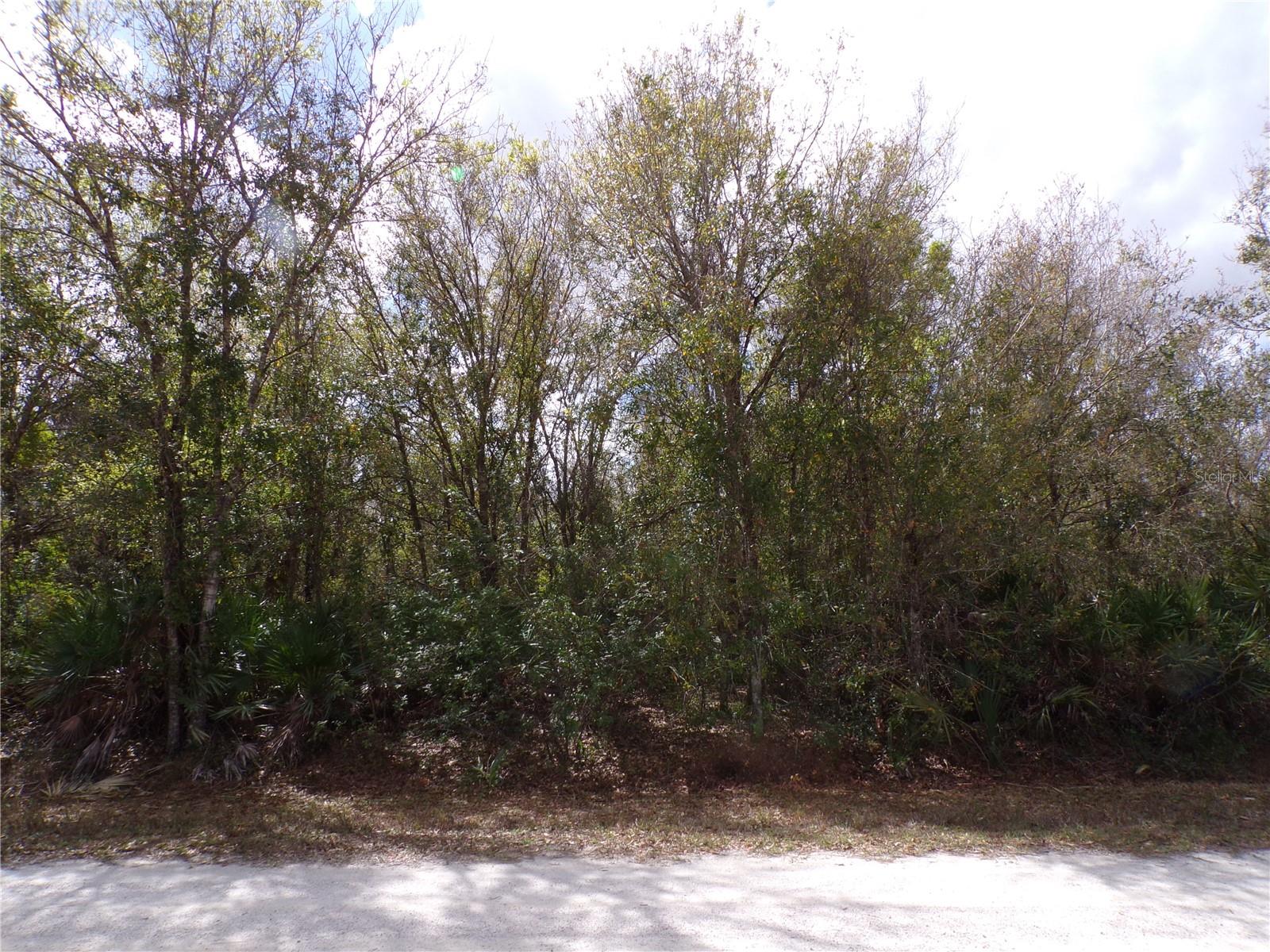 27269 Hacienda Dr Property Photo 12