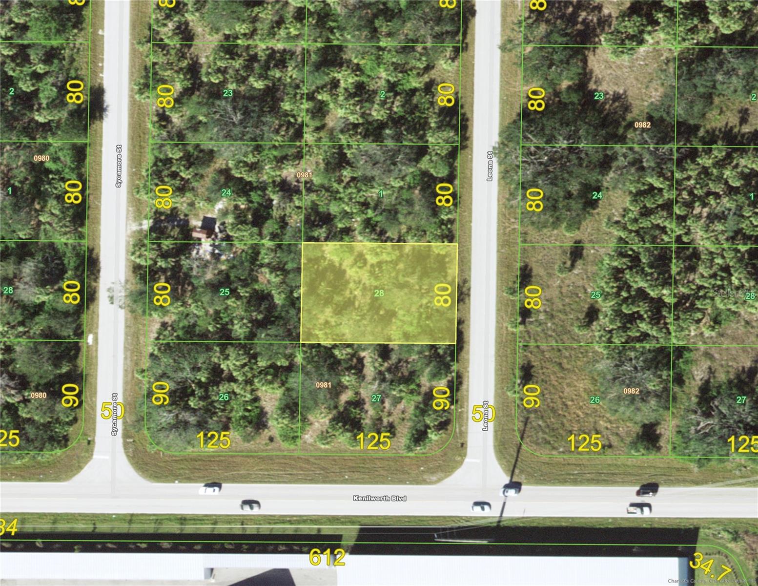 493 LEONA ST Property Photo 1