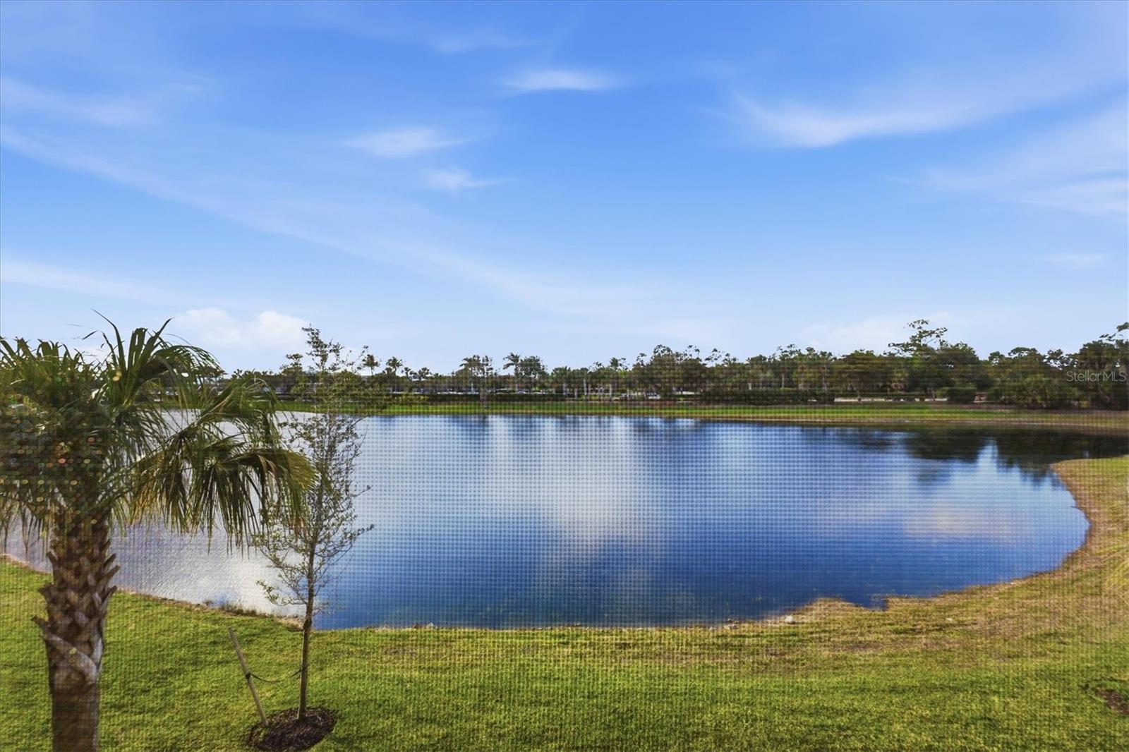 14655 Sycamore Ct #3121 Property Photo 46