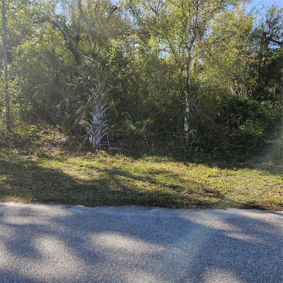 Jaffe Ln Property Photo 1